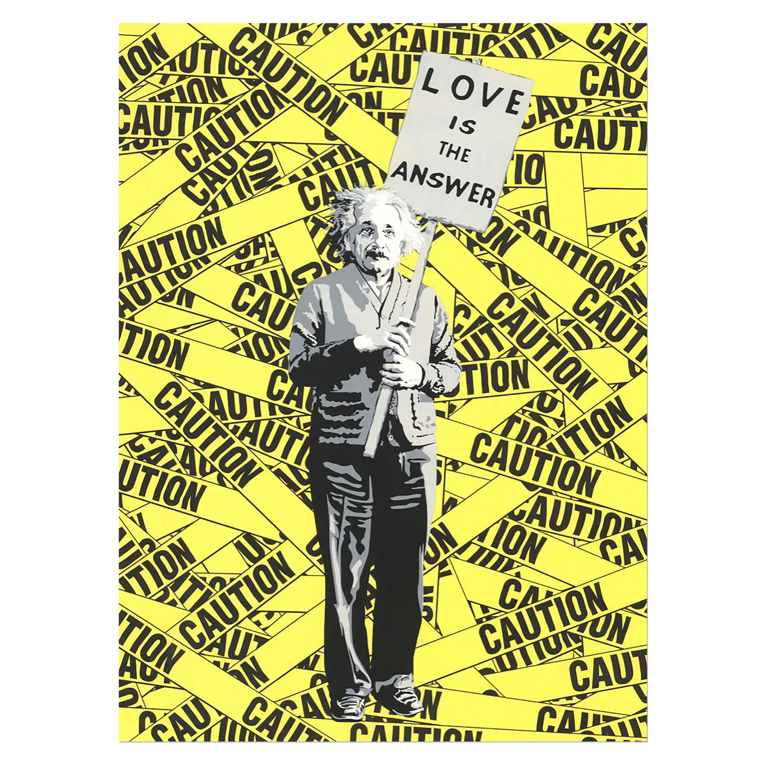 Einstein by Mr. Brainwash