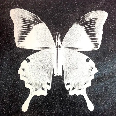 Silver Butterfly On Black, 2013, Rubem Robierb