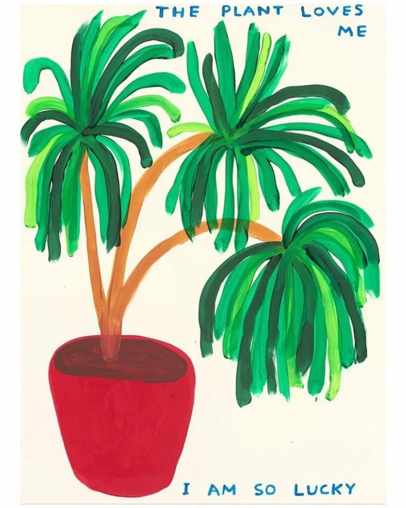 The Plant Loves Me, 2023, David Shrigley