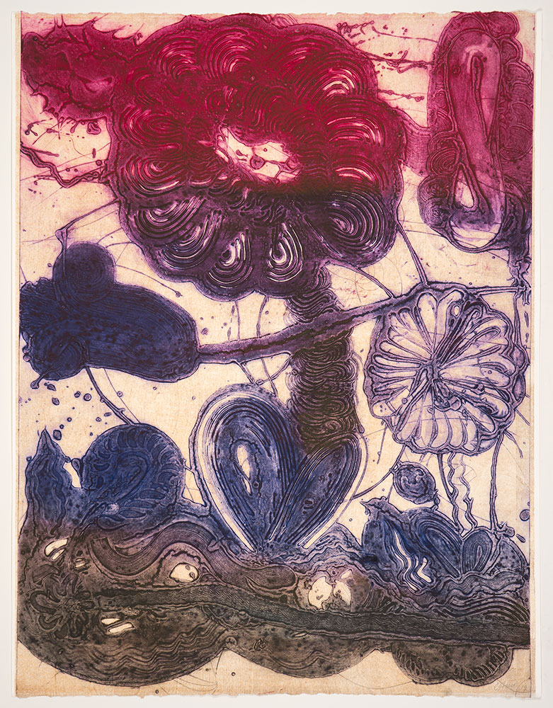 Garden (daisy, Magenta, Violet, Pheasant) by Catherine Howe Manneken Press