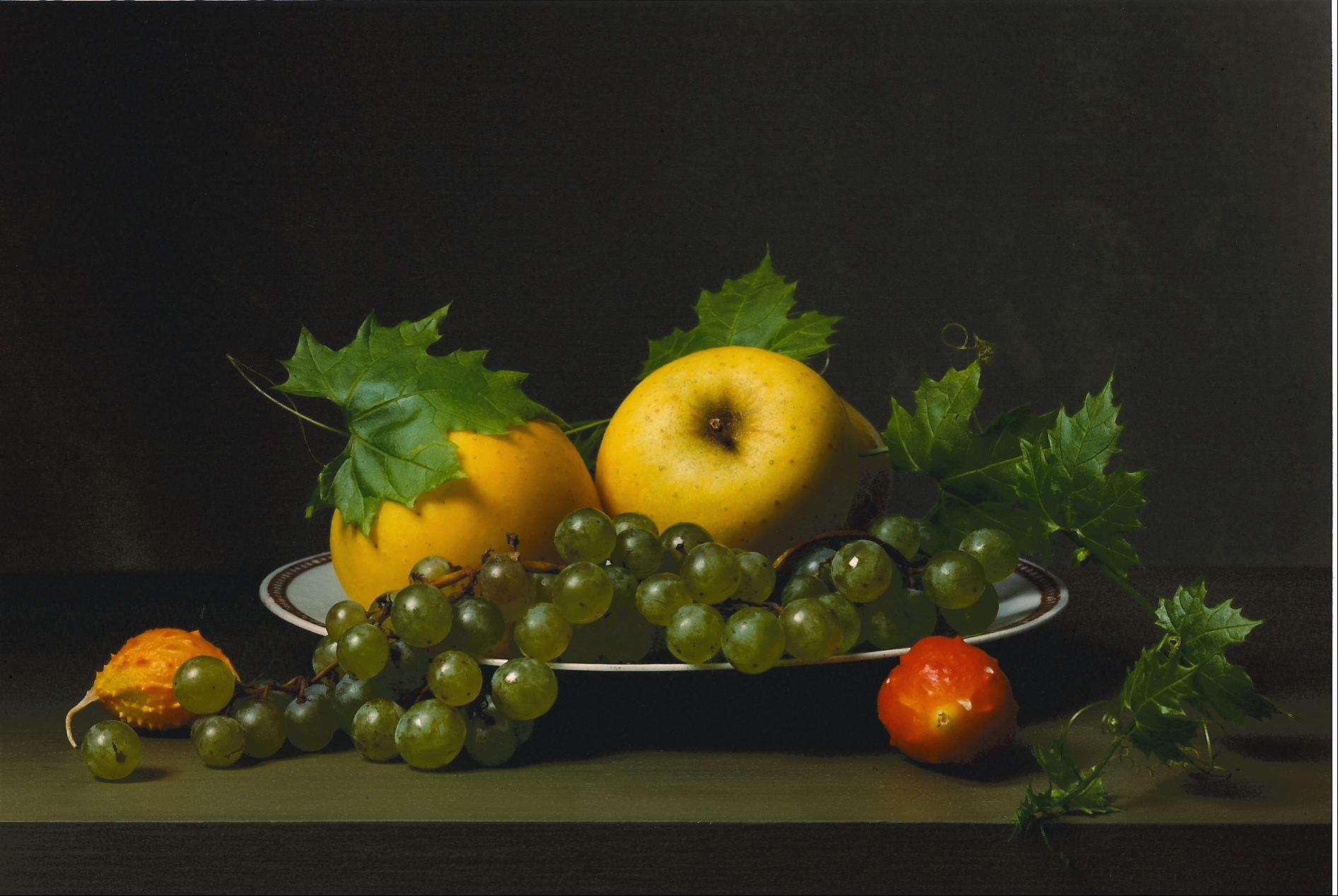 Early American, Still Life with Balsam Apples by Sharon Core