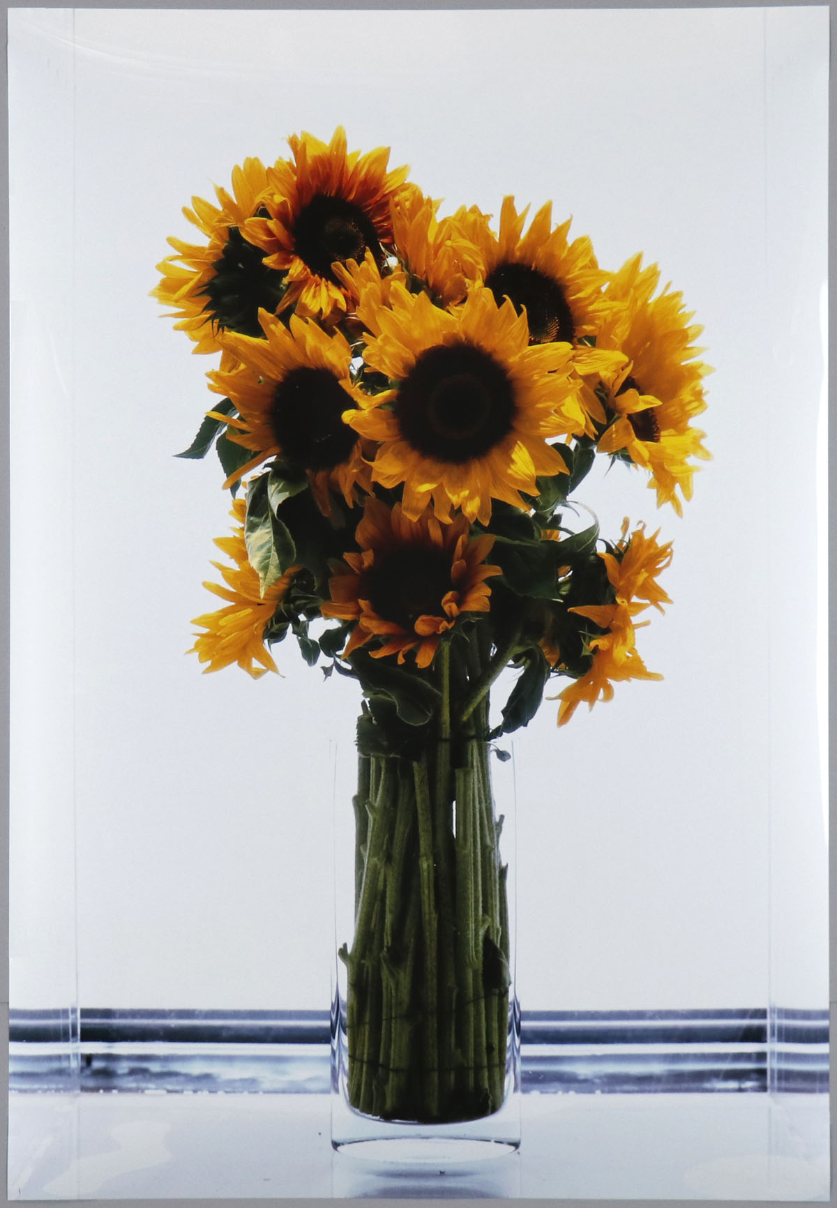 Frozen Sunflowers (Eternal Spring) by Marc Quinn