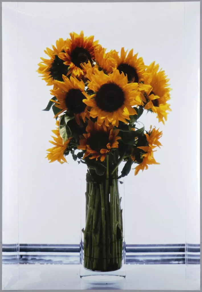 Frozen Sunflowers (Eternal Spring), 2001, Marc Quinn