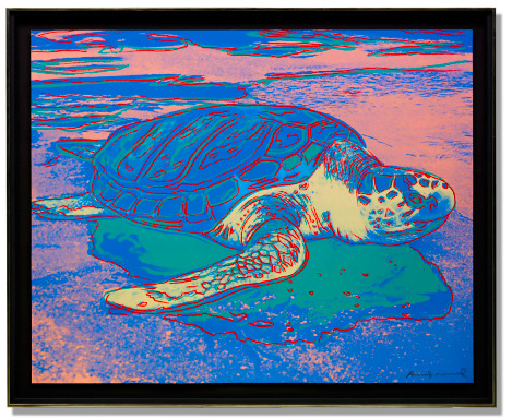 Turtle, 1985, Andy Warhol