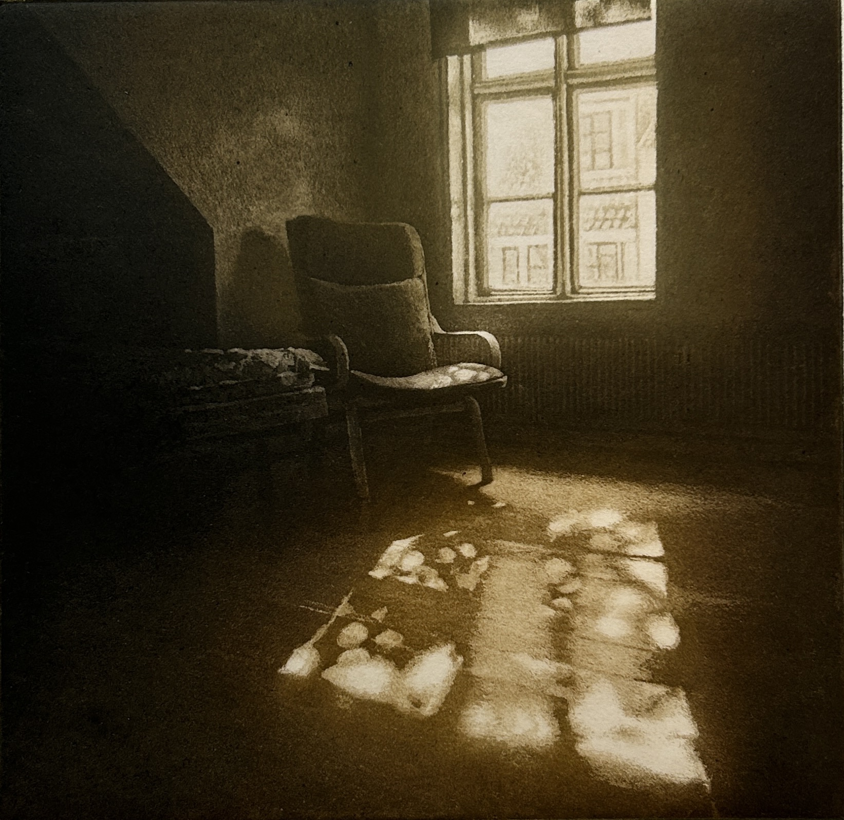 Viggo’s Window by Anja Percival