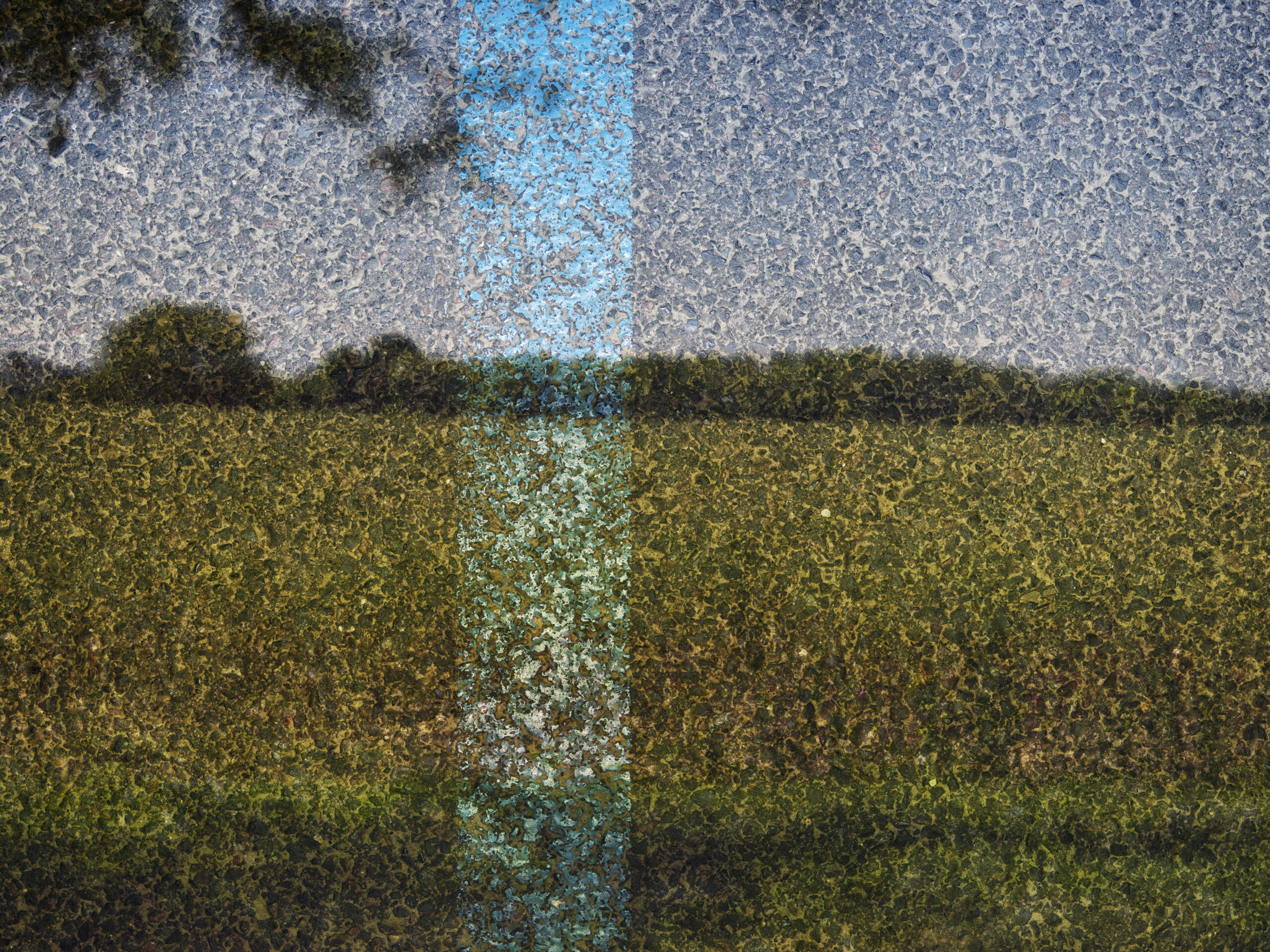 Tent-Camera Image: Field on Parking Lot, Auvers, France by Abelardo Morell