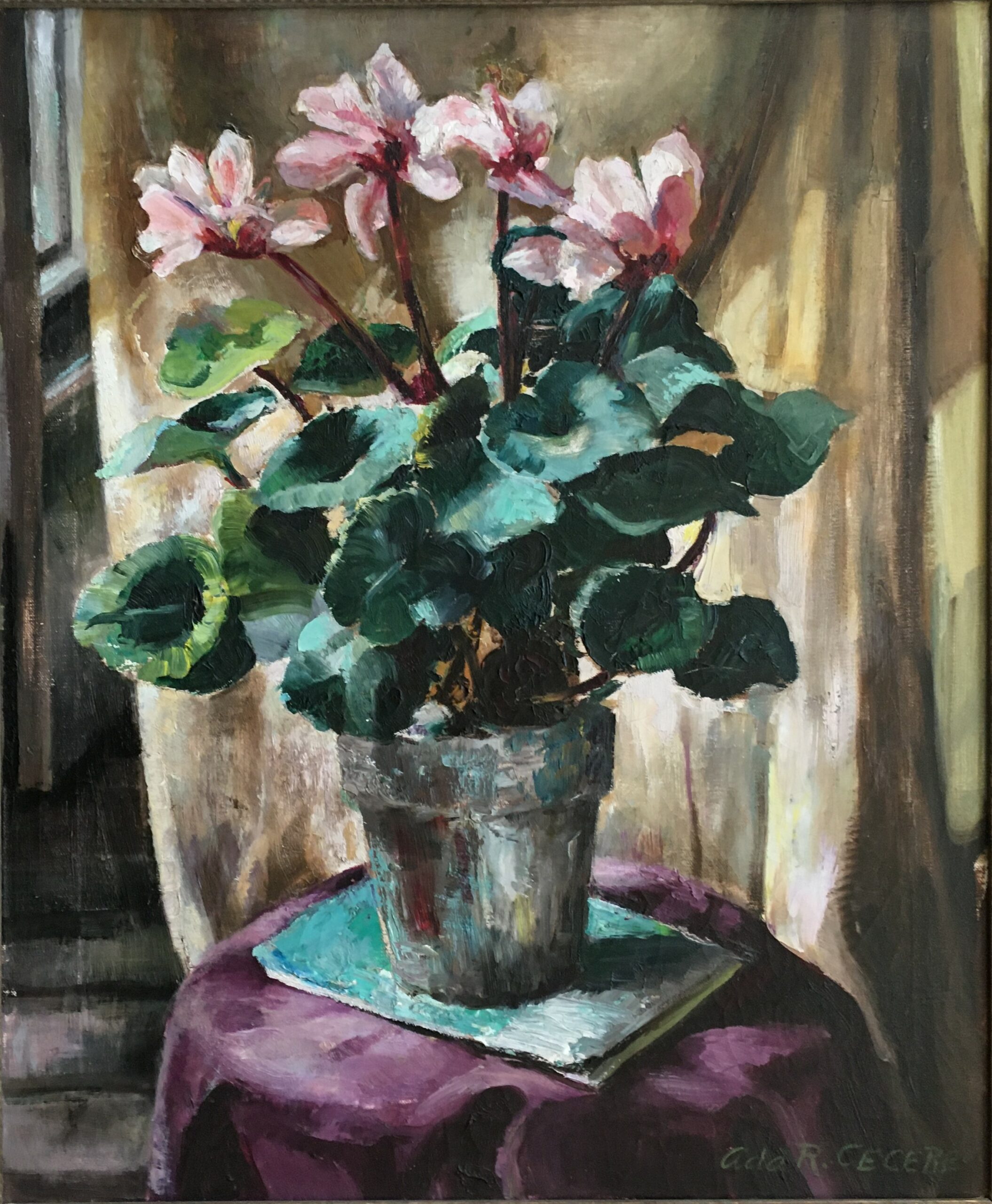 Cyclamen by Ada Rasario Cecere