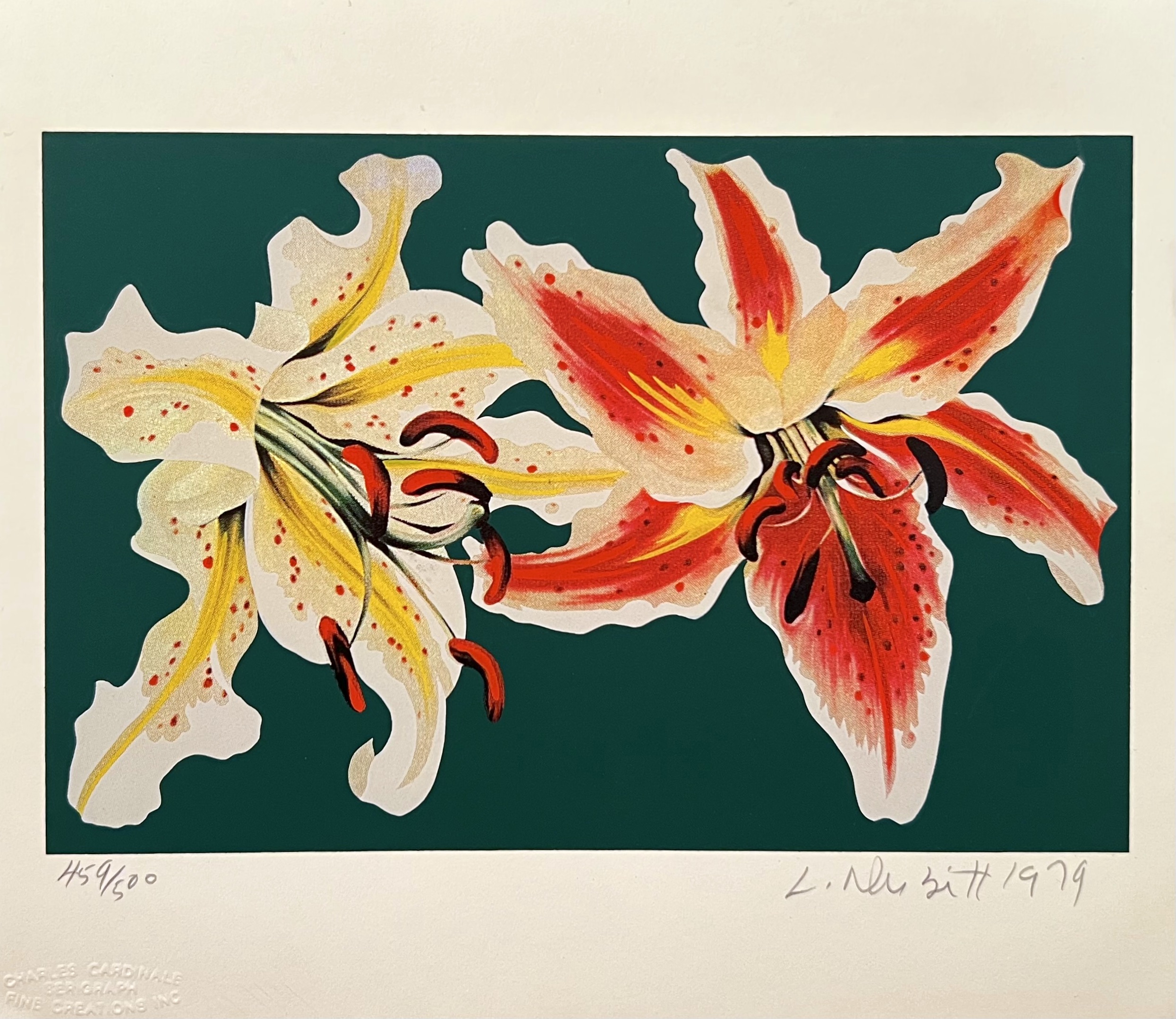 Untitled (Two Lilies) by Lowell Nesbitt