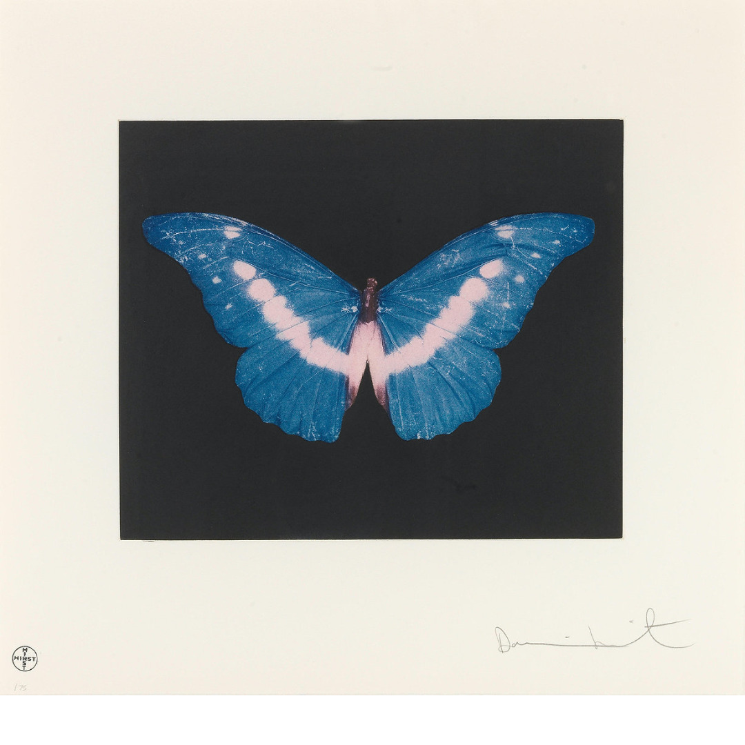 To Belong Butterfly by Damien Hirst