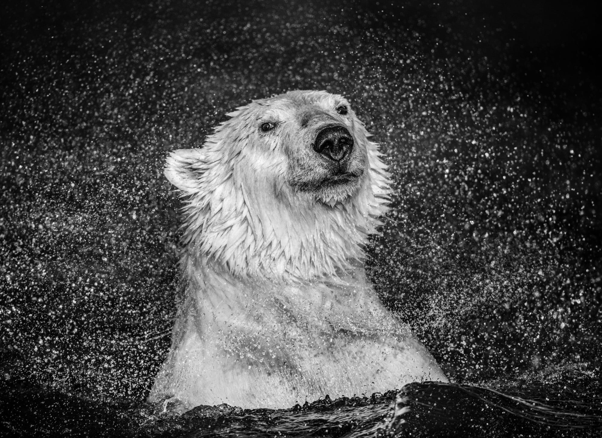 Open Water by David Yarrow