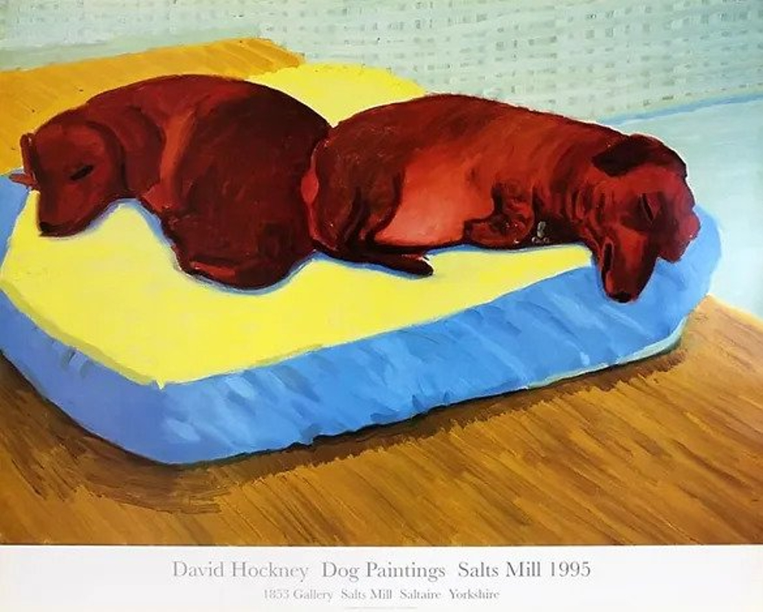 Dog 38 by David Hockney