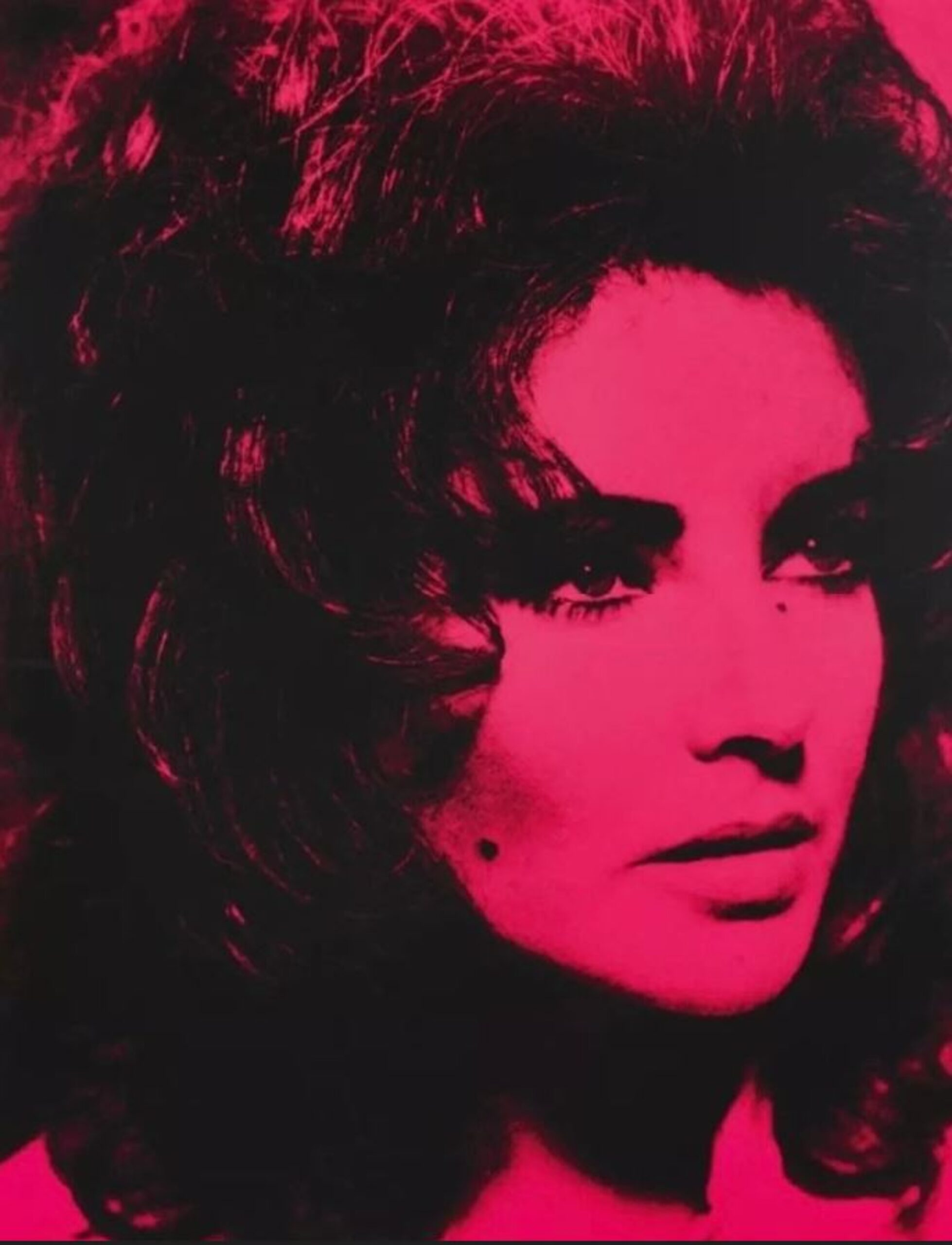 Elizabeth Taylor Profile by Russell Young