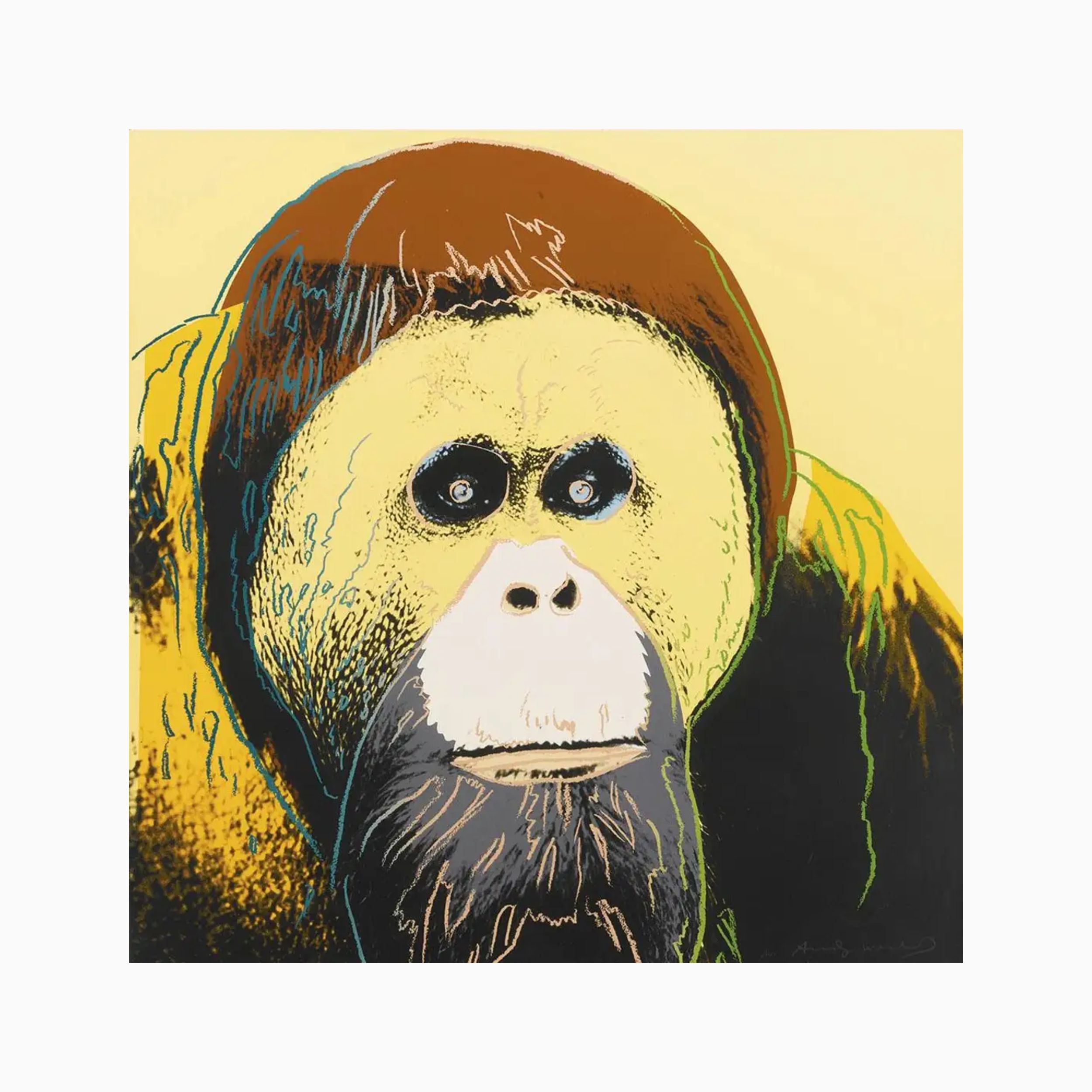 Orangutan (F & S II.299) (from Endangered Species) by Andy Warhol