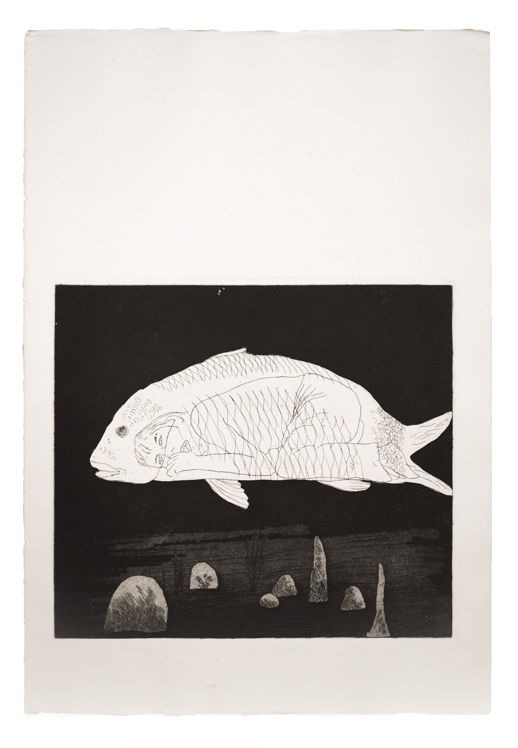 The Boy Hidden in a Fish by David Hockney