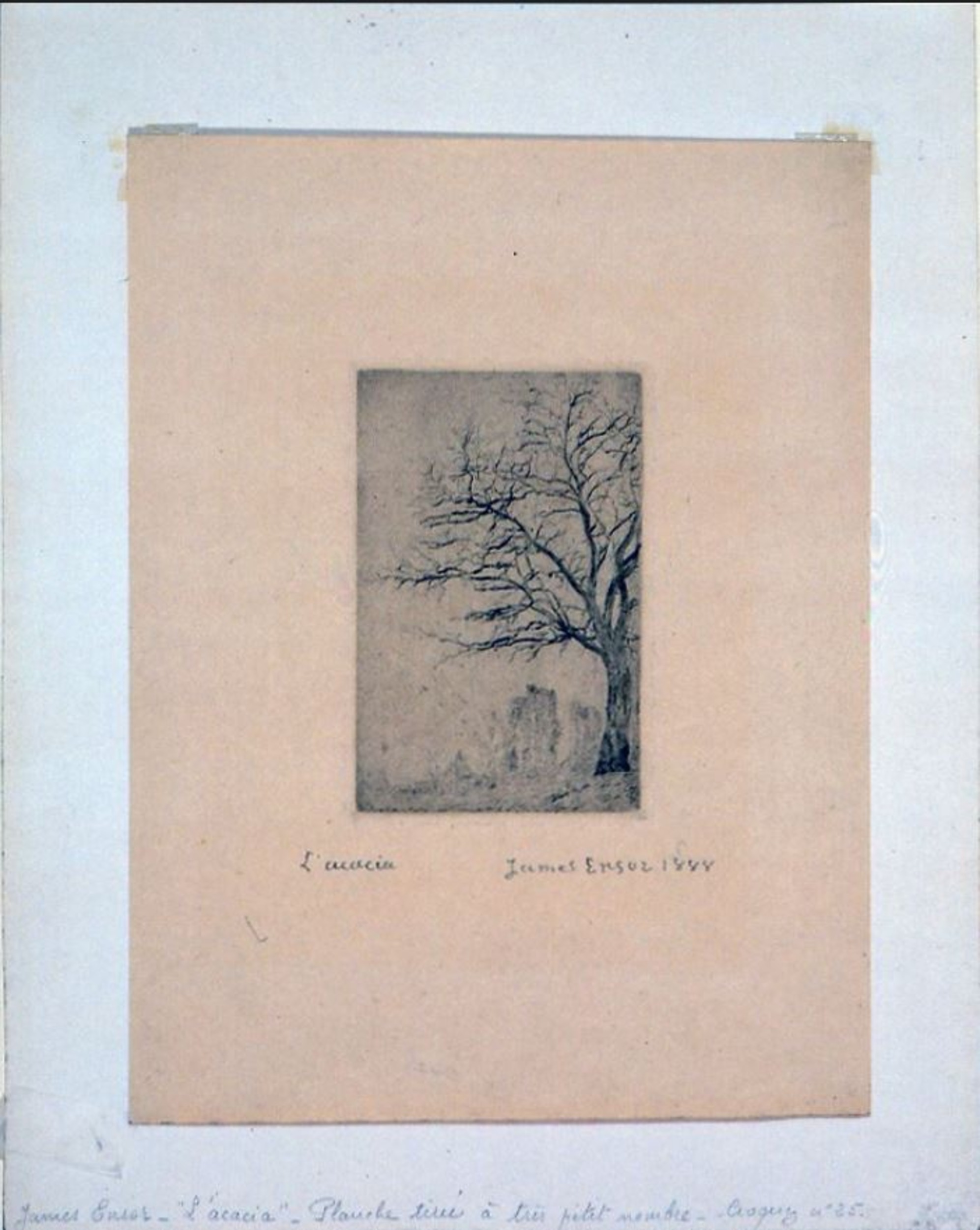 L’acacia by James Ensor