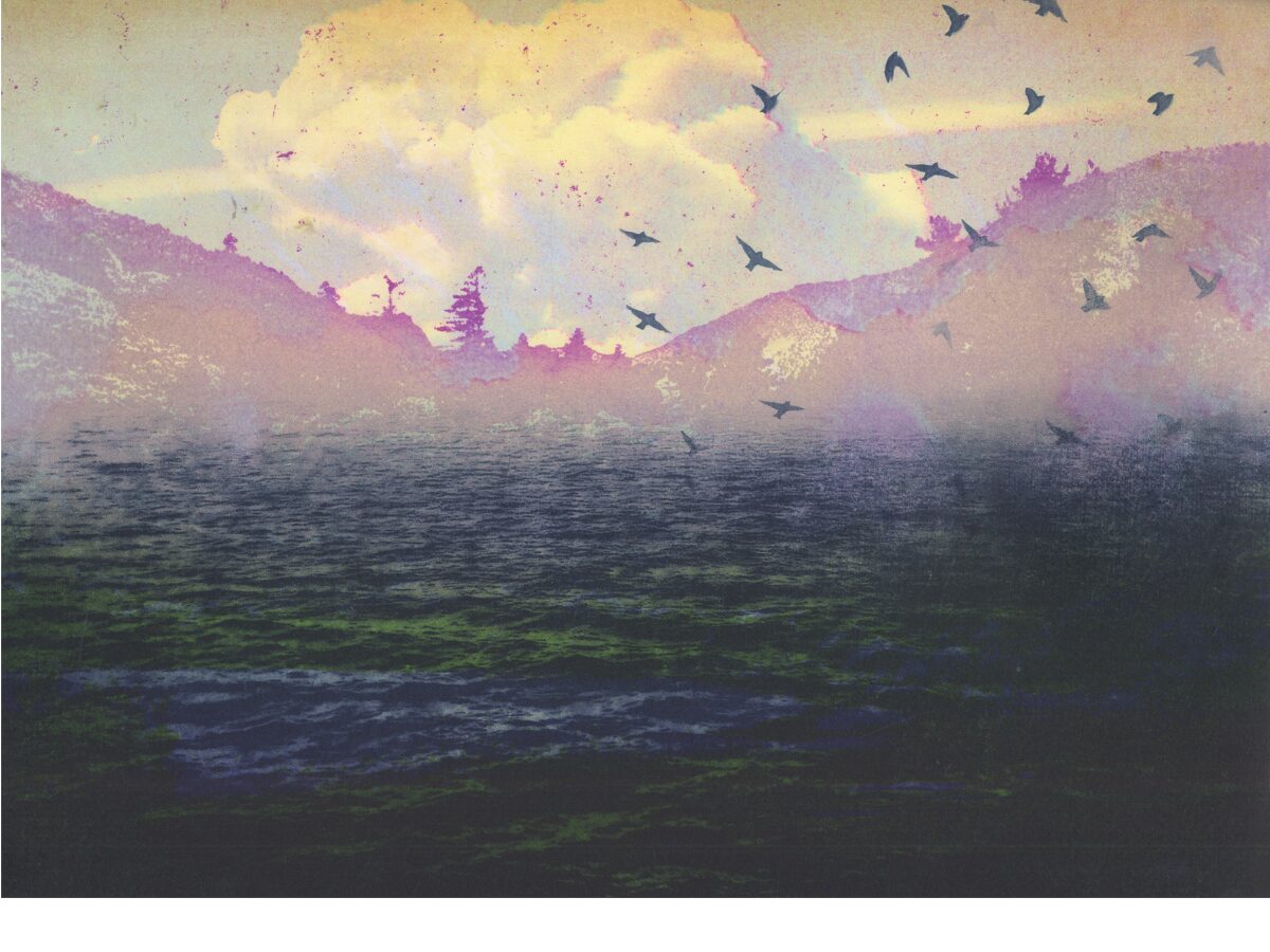 far shore by Elizabeth Magill