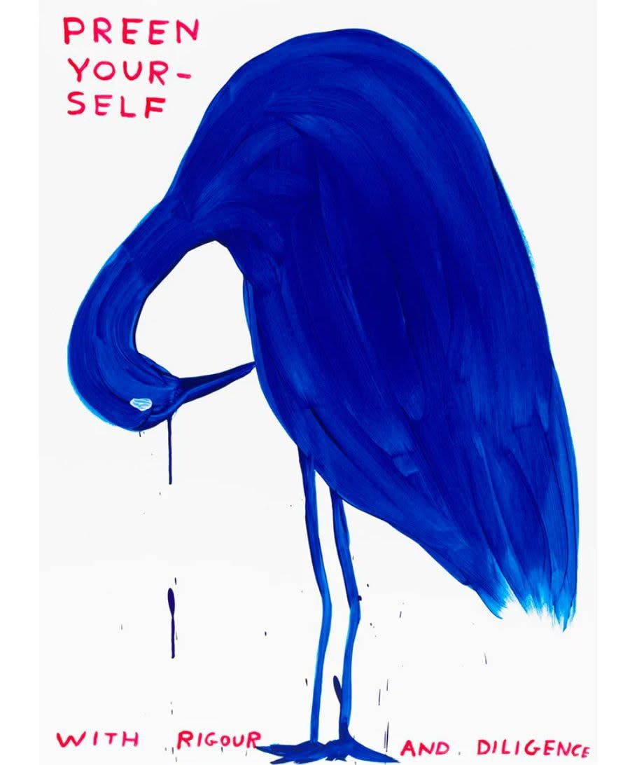 Preen Yourself by David Shrigley