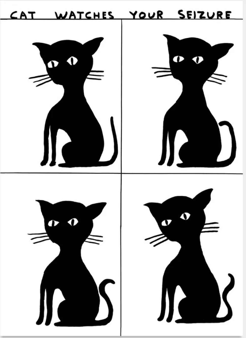 Cat Watches Your Seizure by David Shrigley