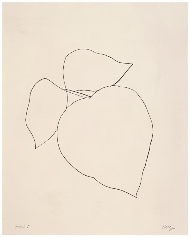 Leaves by Ellsworth Kelly