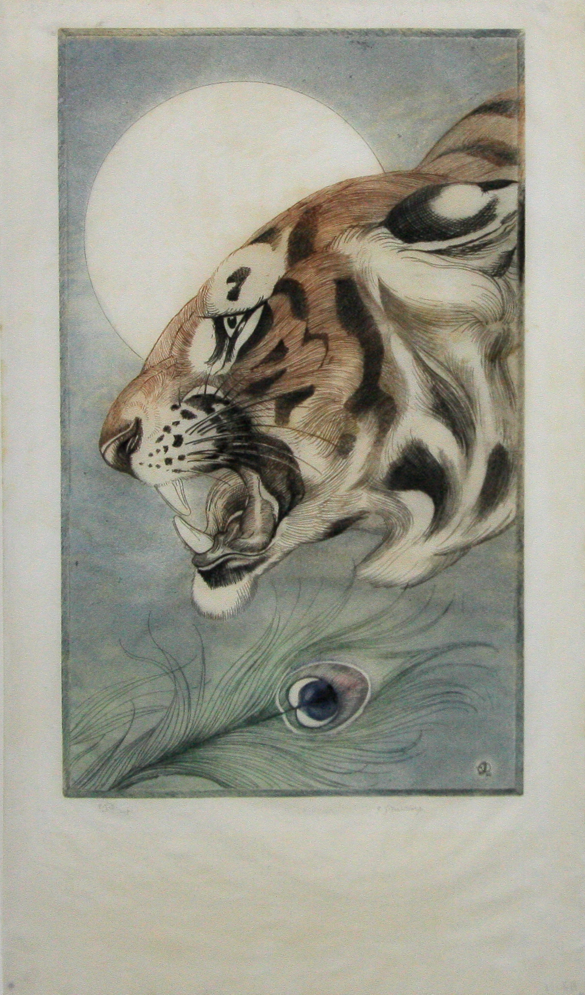 Tiger, Moon & Peacock Feather by Edward Julius Detmold