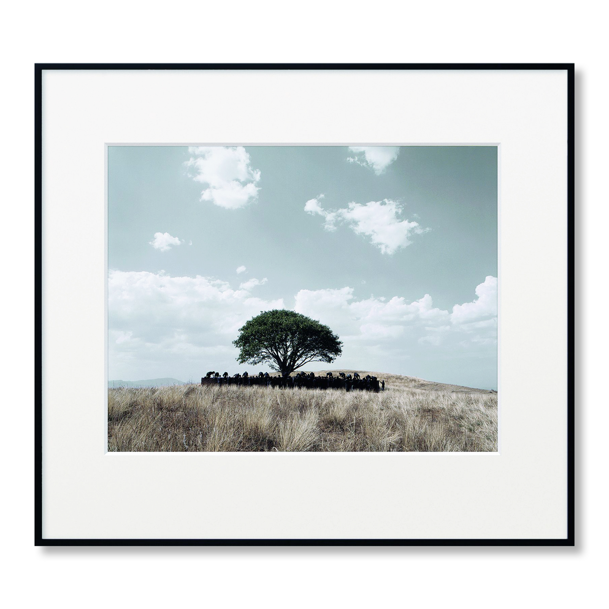 Untitled (Tooba) by Shirin Neshat