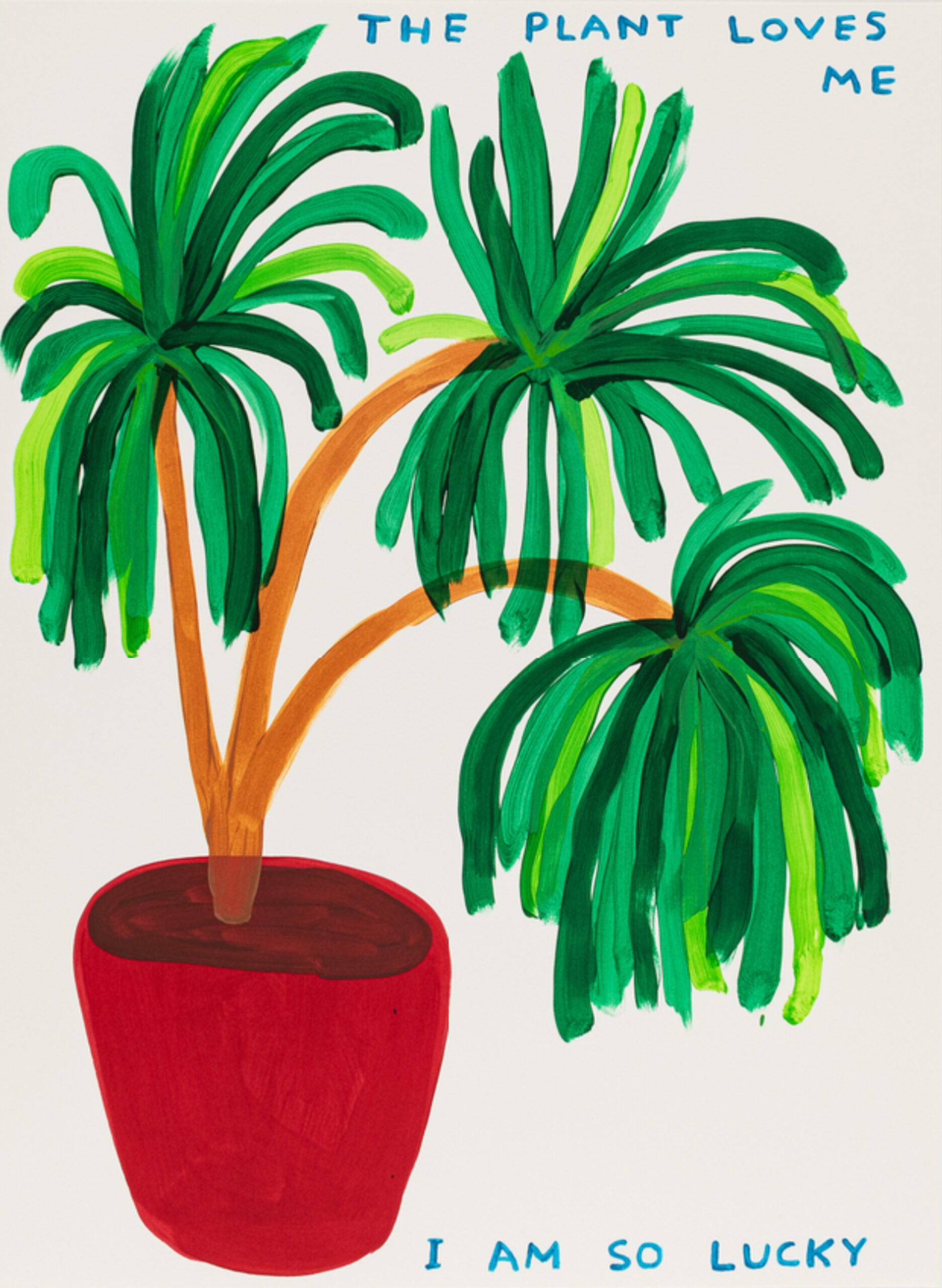 The Plant Loves Me I Am So Lucky by David Shrigley