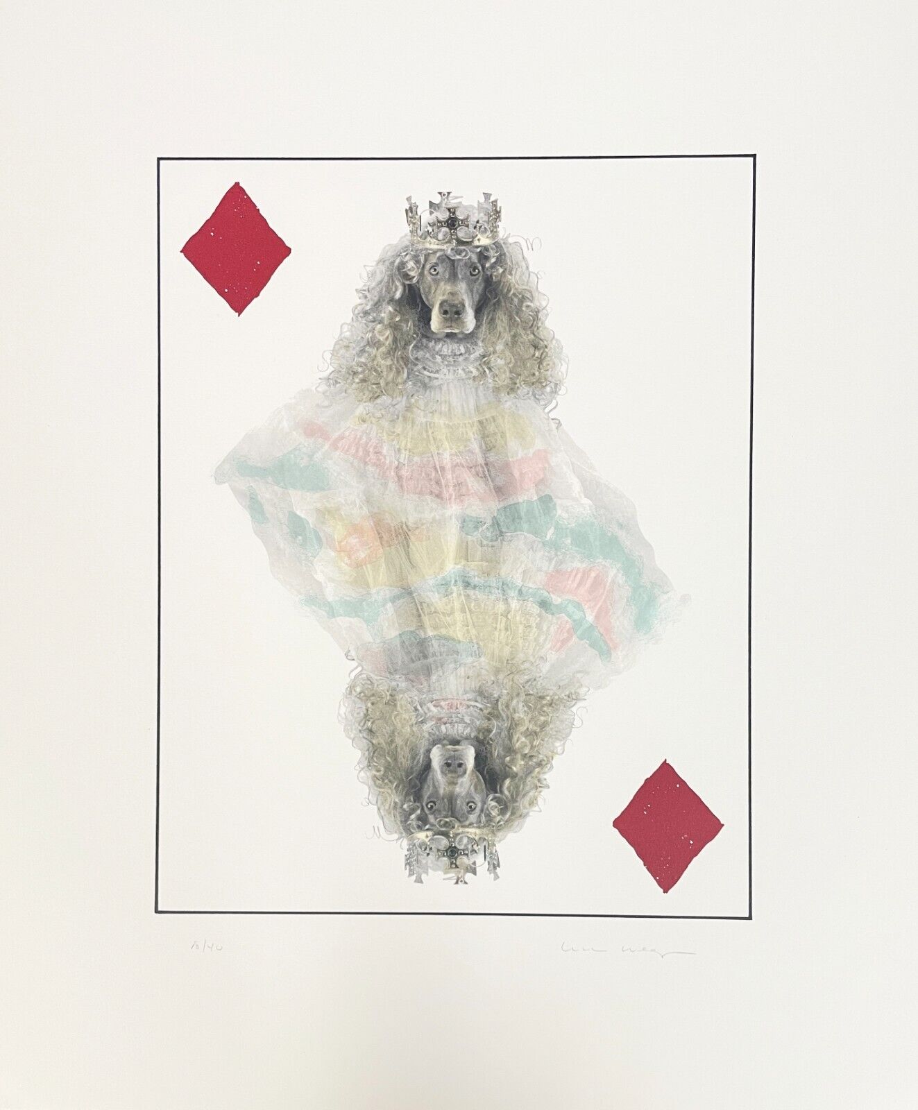 Royal Flush (Diamonds) by William Wegman