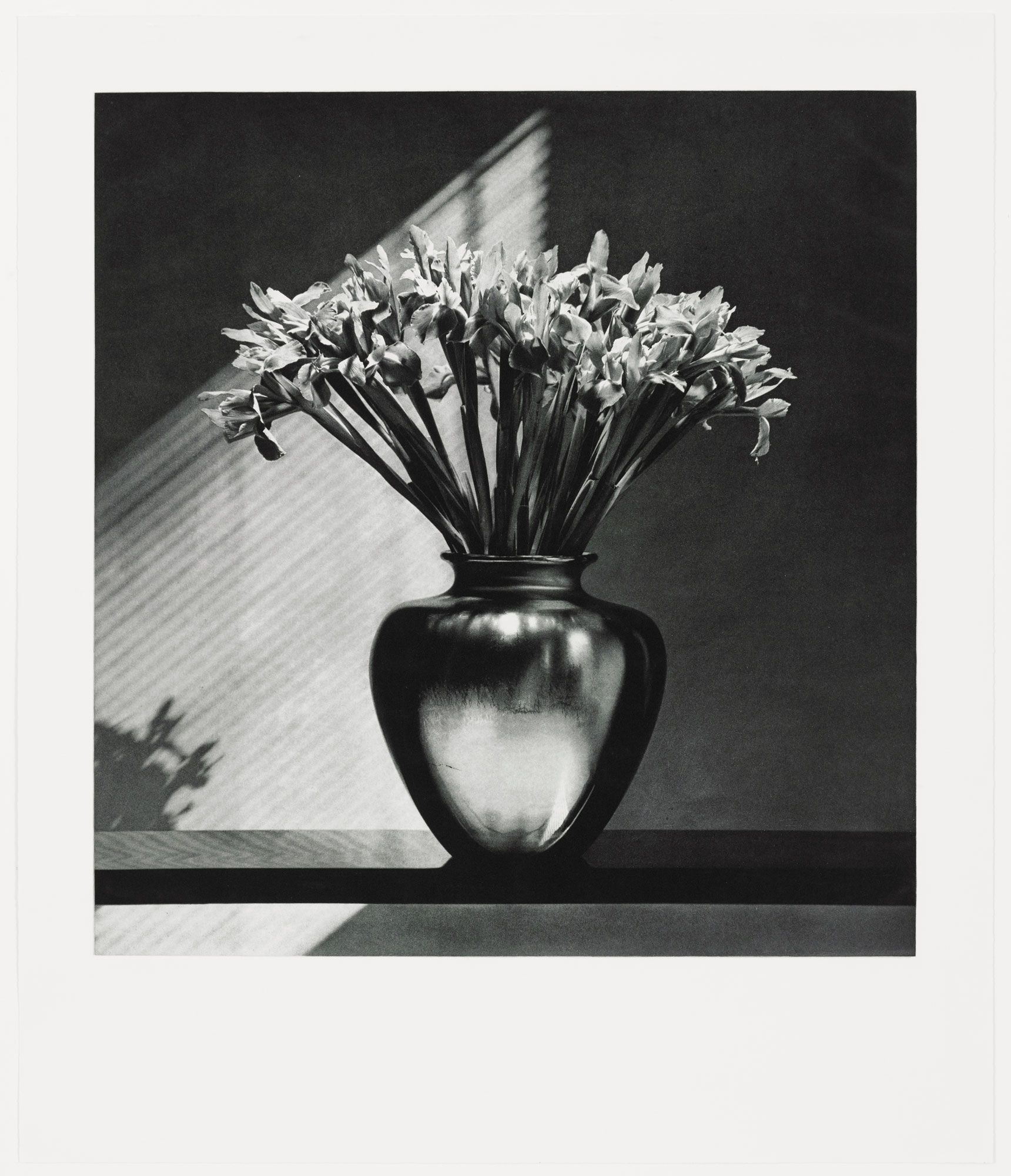 Irises by Robert Mapplethorpe