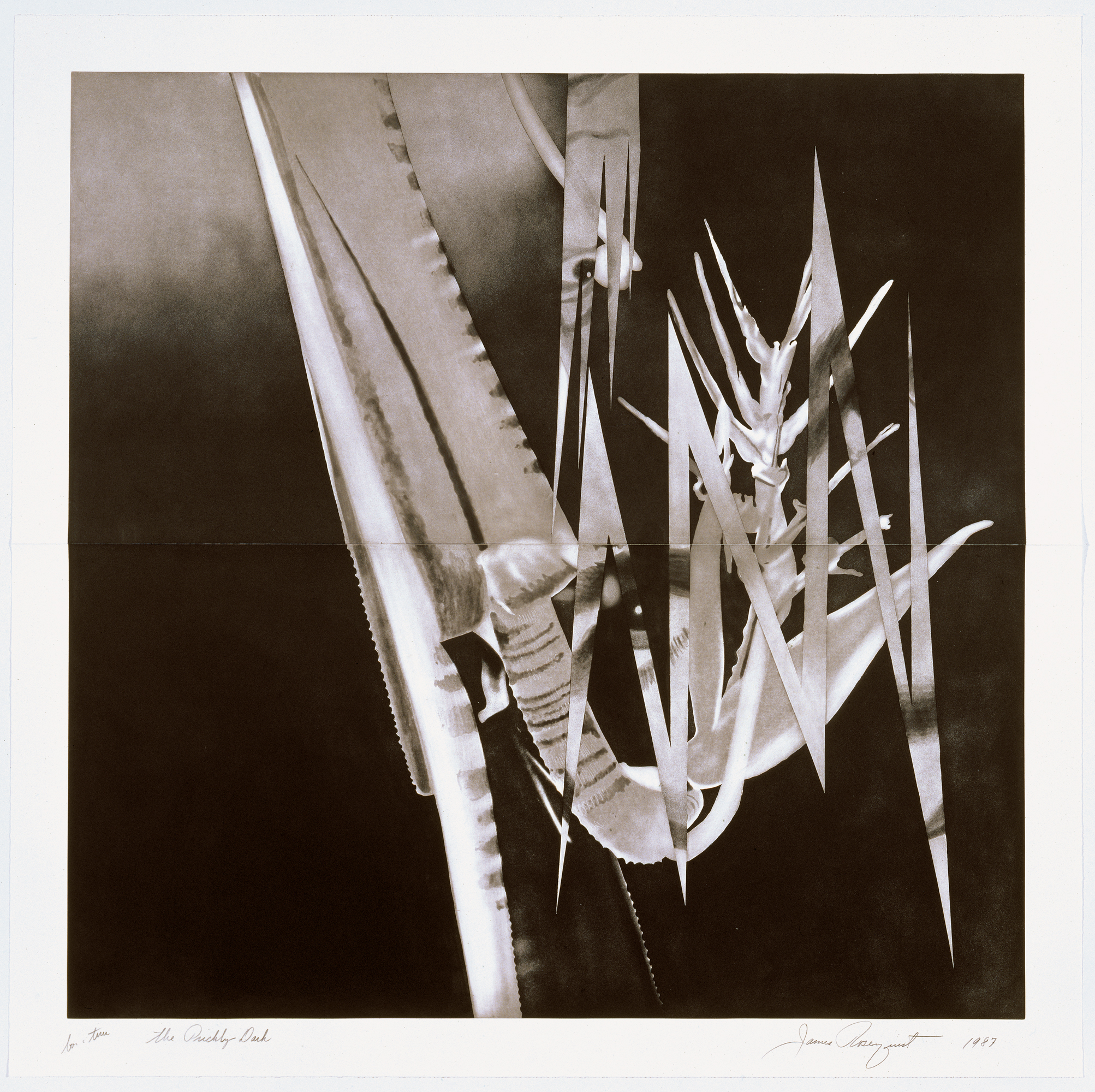 The Prickly Dark by James Rosenquist