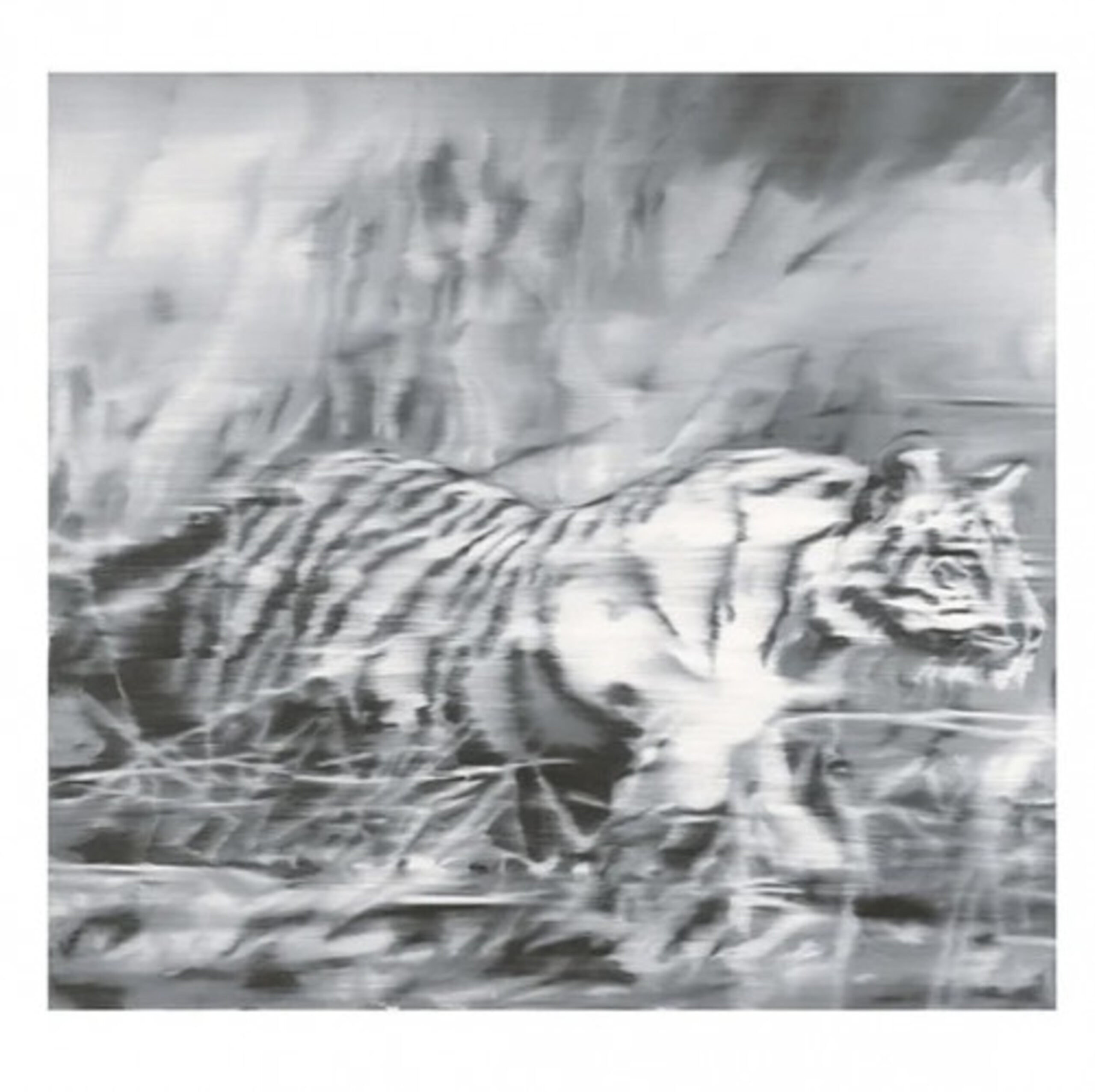 Tiger by Gerhard Richter