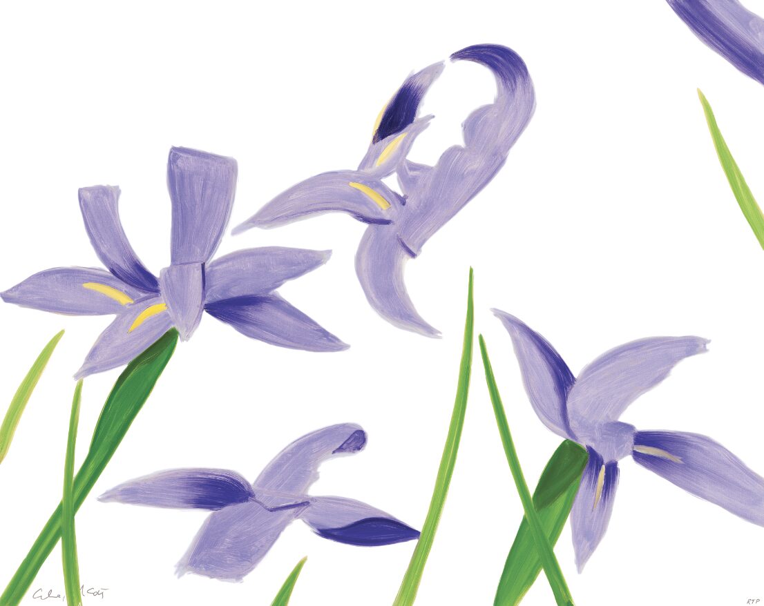 Purple Irises on White by Alex Katz