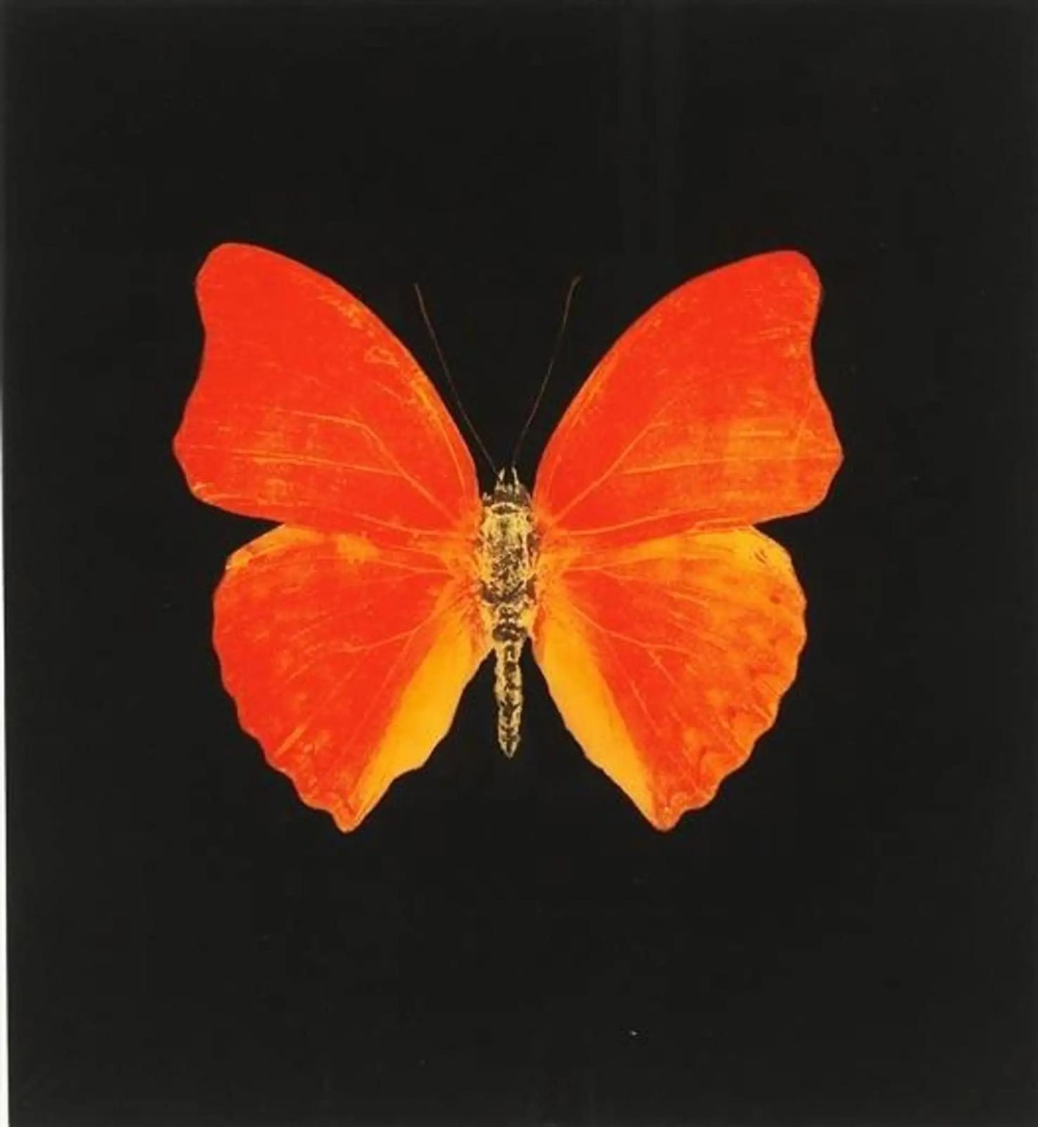 Memento 3 by Damien Hirst