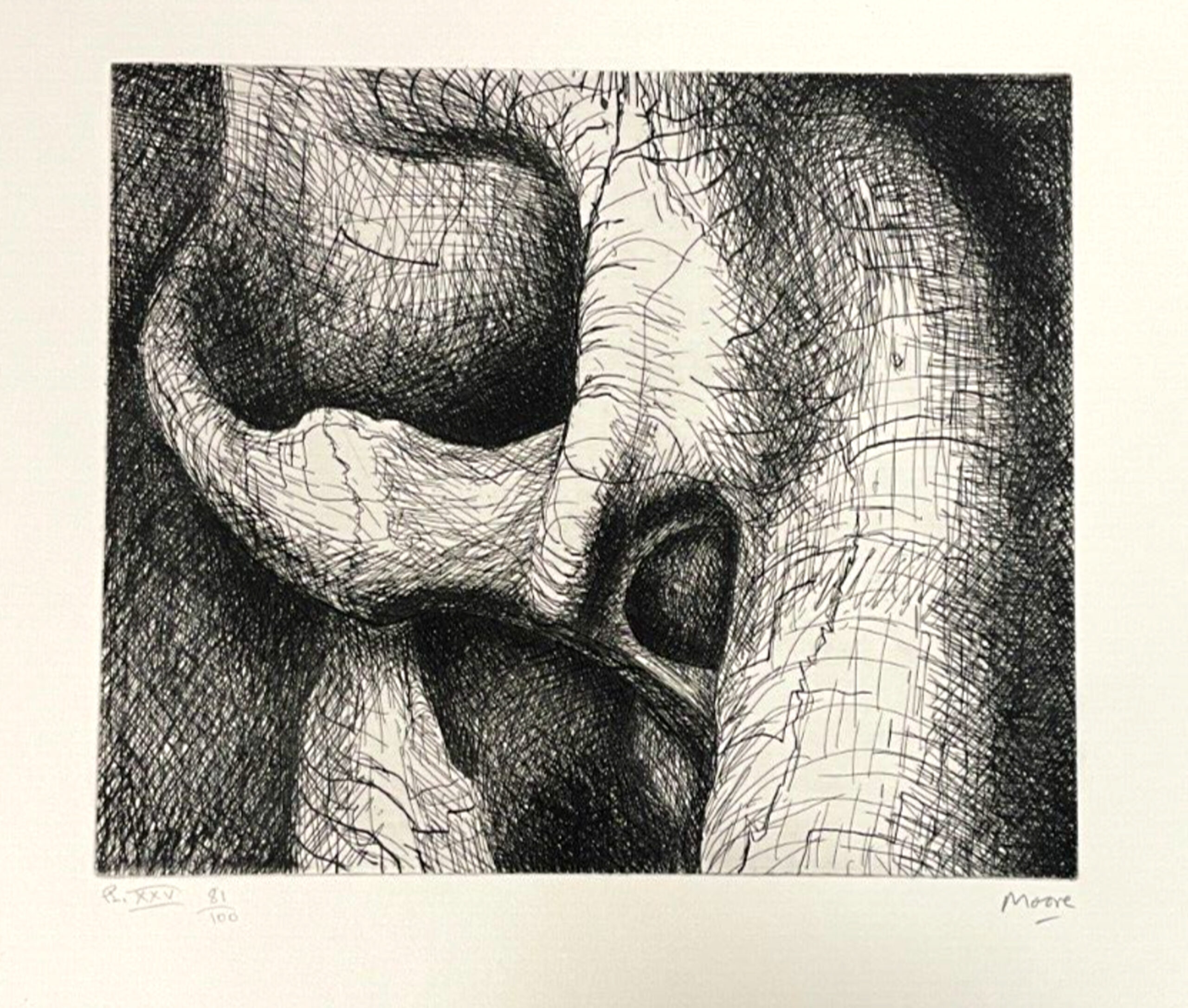 Plate XXVI from Elephant Skul by Henry Moore