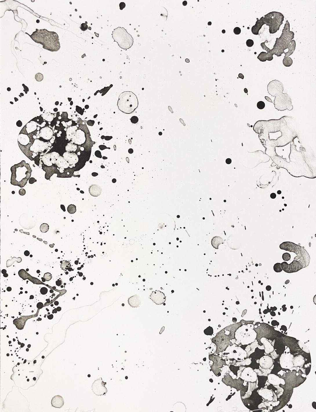 Spring Solution by Sam Francis