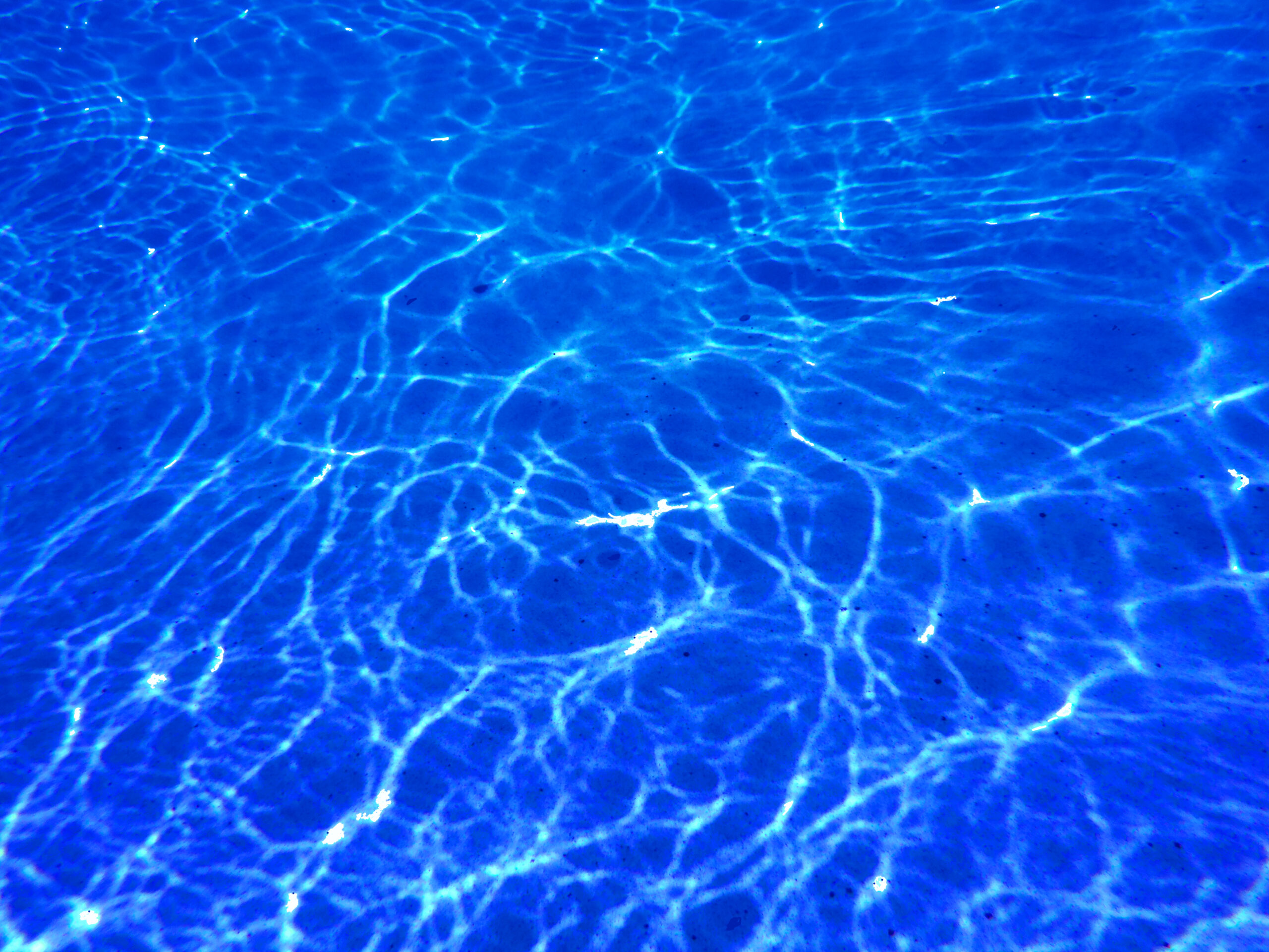 Pool Water Series #7. Florida by Clifford Singer