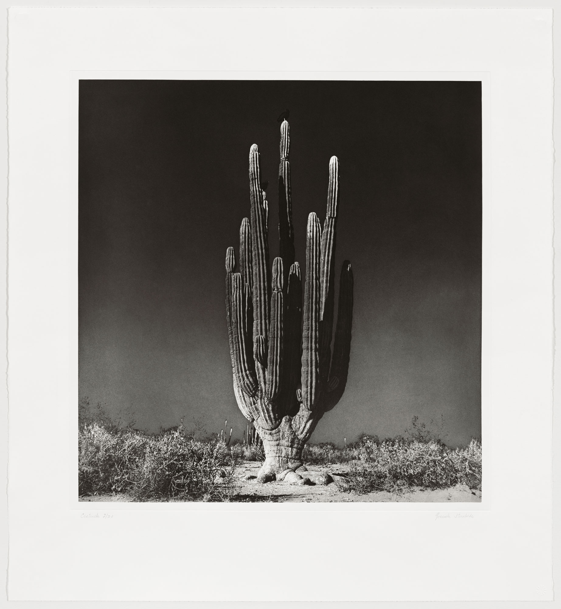 Centinela by Graciela Iturbide