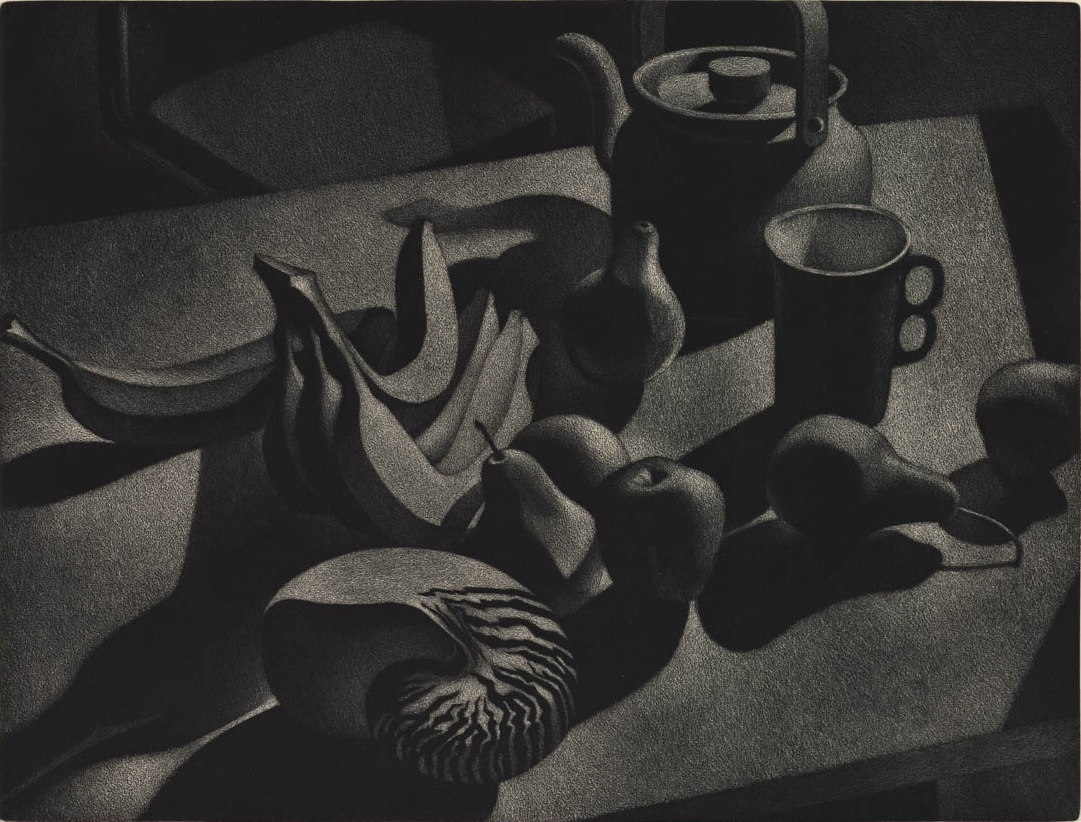 Still Life with Nautilus by William Behnken