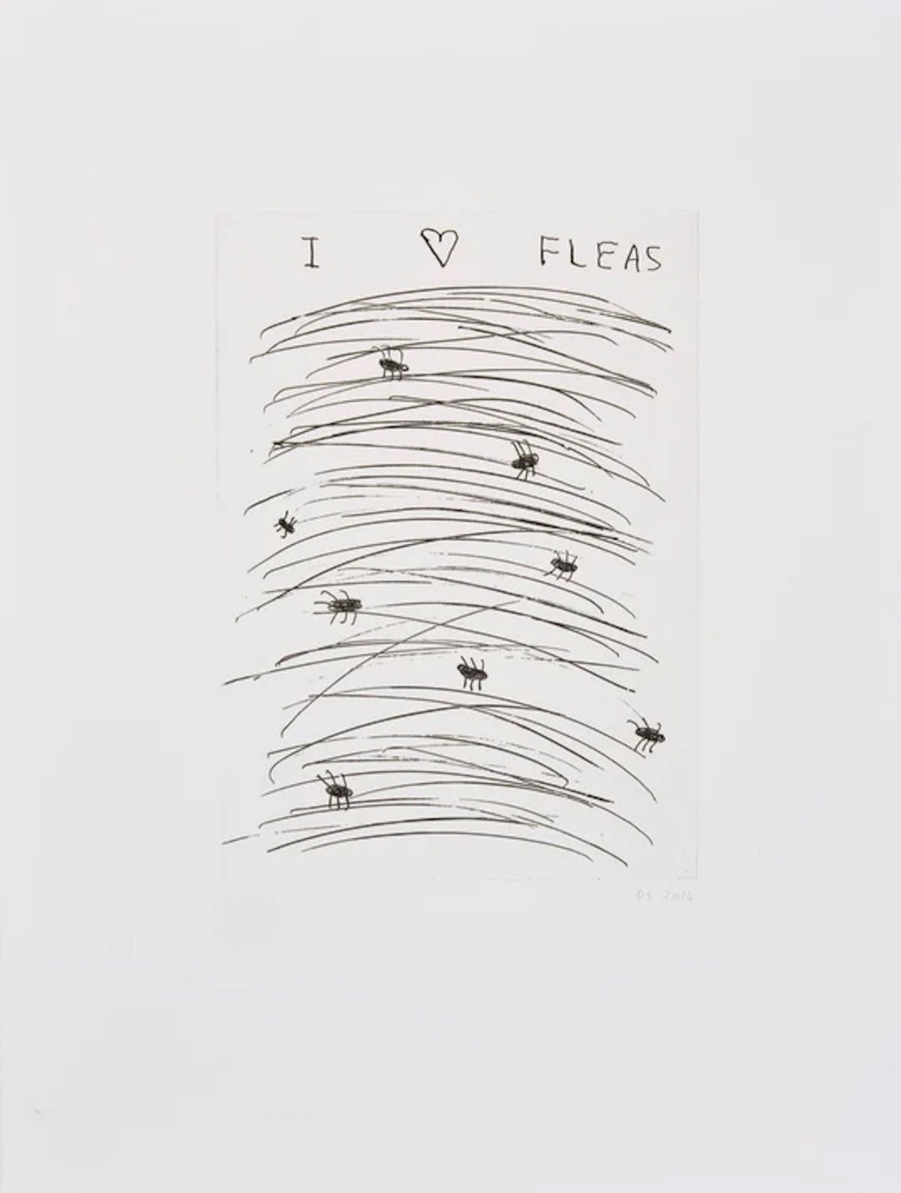 I Love Fleas by David Shrigley