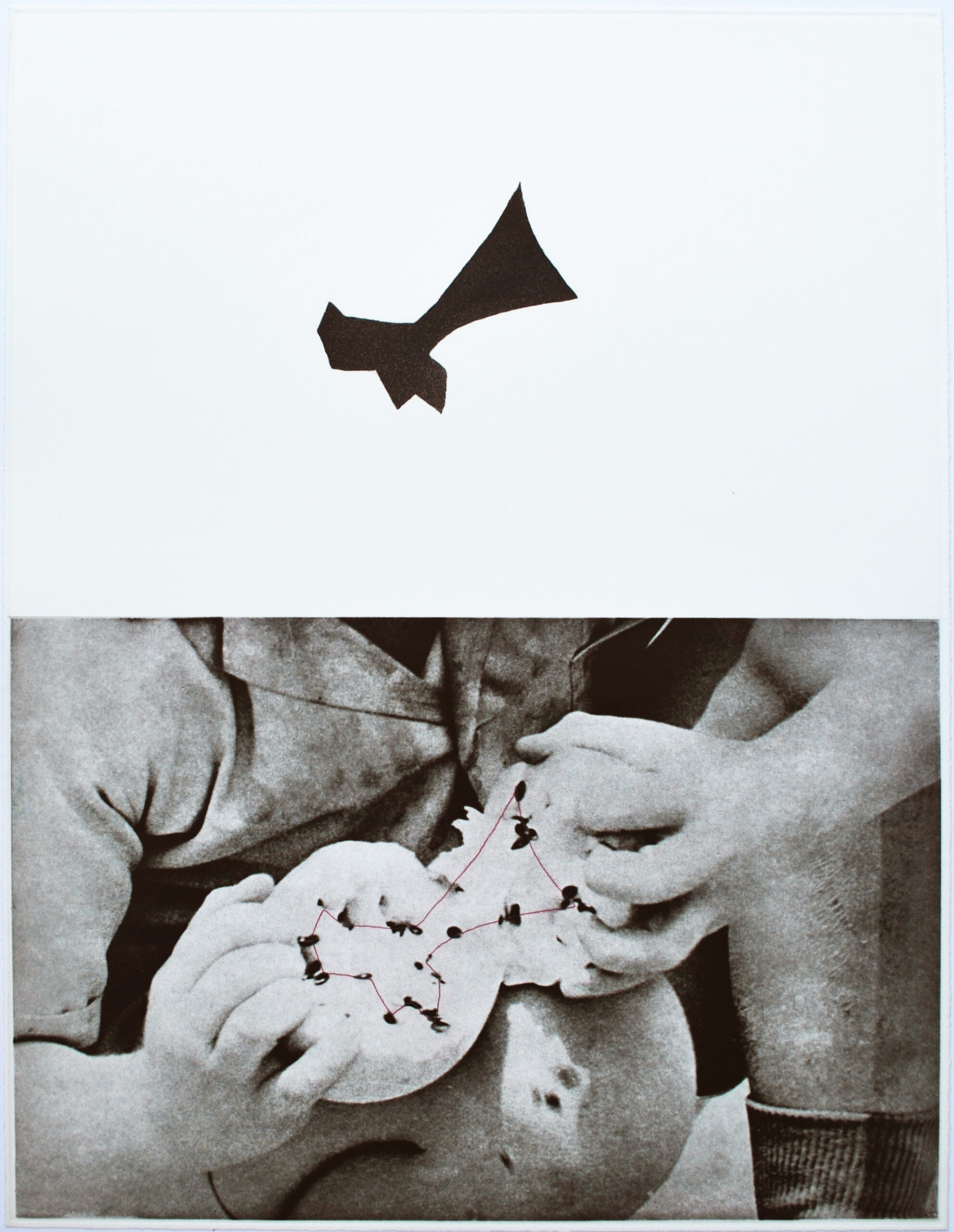 Seeds by John Baldessari