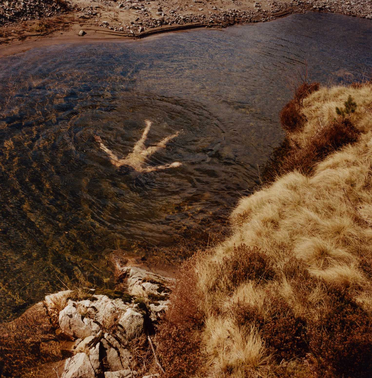 Large, Tommy Swimming, Glenfeshie, Scotland by Finn Gibson