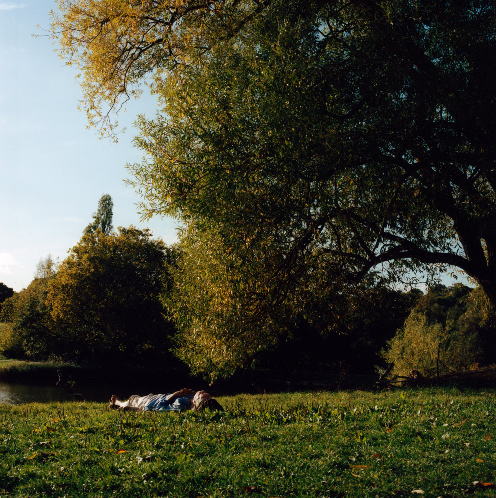 Large, Basking on the Heath, Hampstead Heath by Finn Gibson