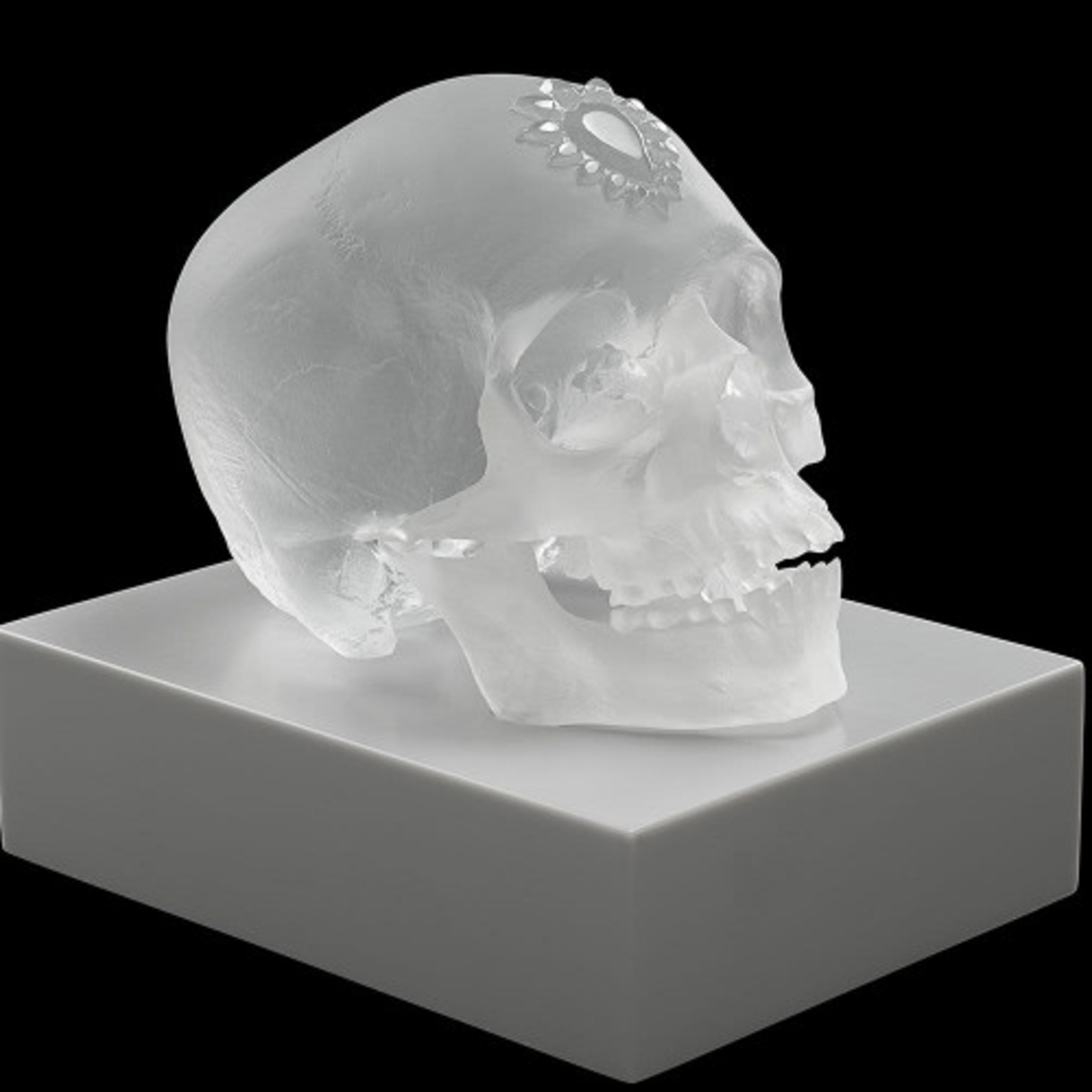 Eternal Sleep (Satin) by Damien Hirst