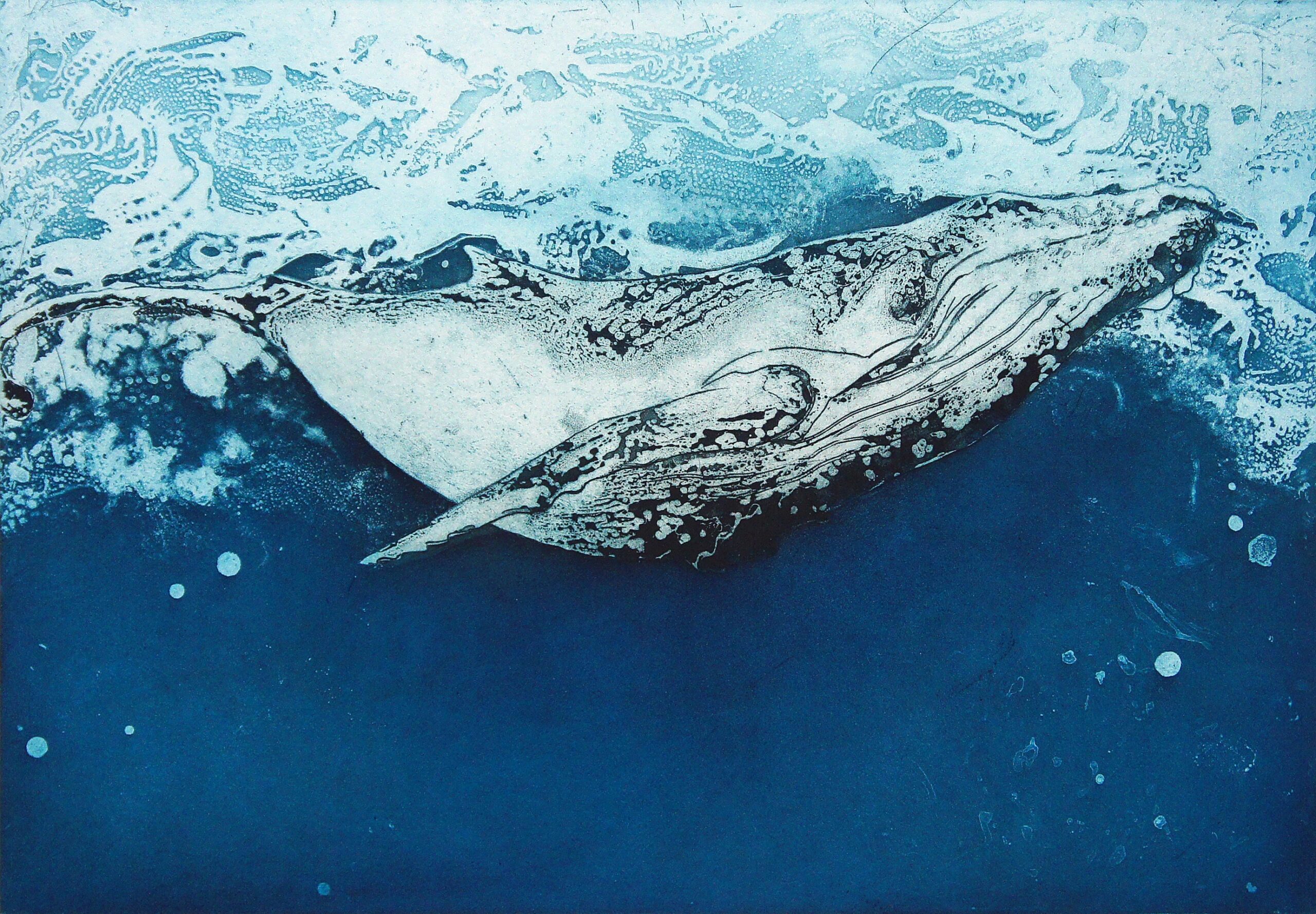 Whale Calf by Marion MacPhee