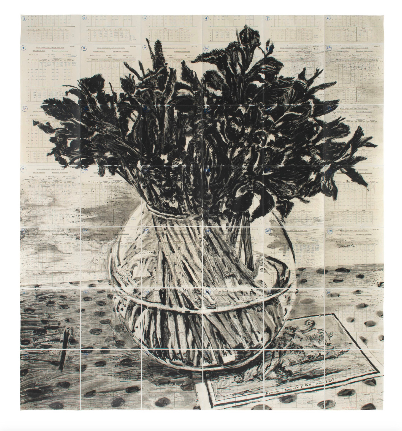 Irises Royal Observatory, Cape of Good Hope by William Kentridge