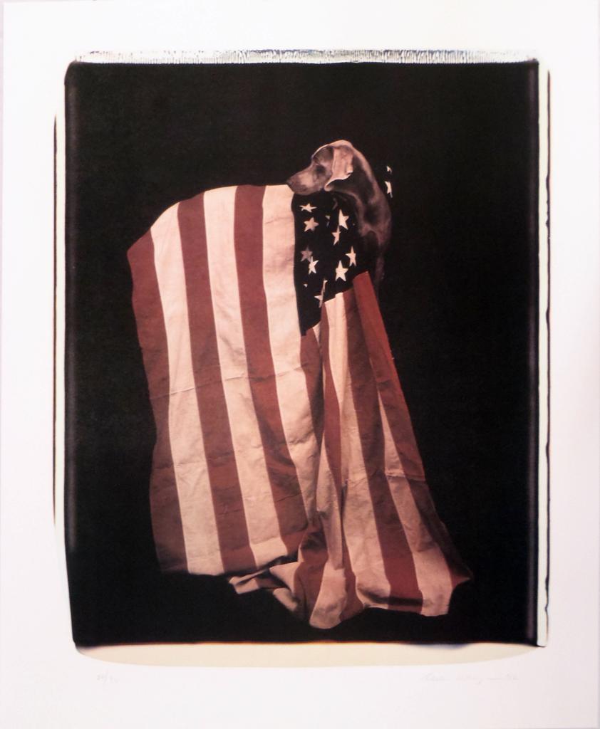 Profiles in Patriotism (from Freedom of Expression) by William Wegman