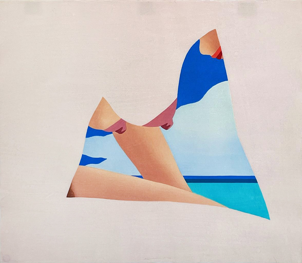 Seascape Dropout by Tom Wesselmann