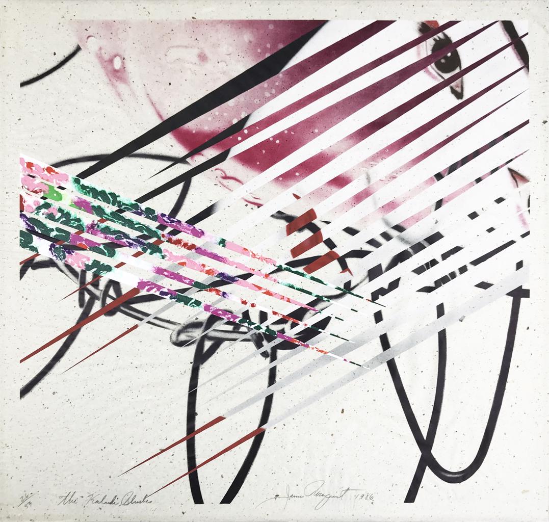 The Kabuki Blushes by James Rosenquist