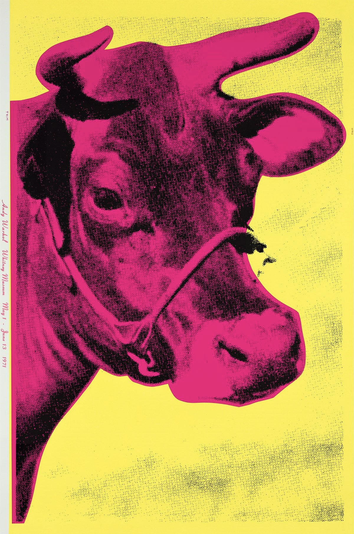 Cow by Andy Warhol