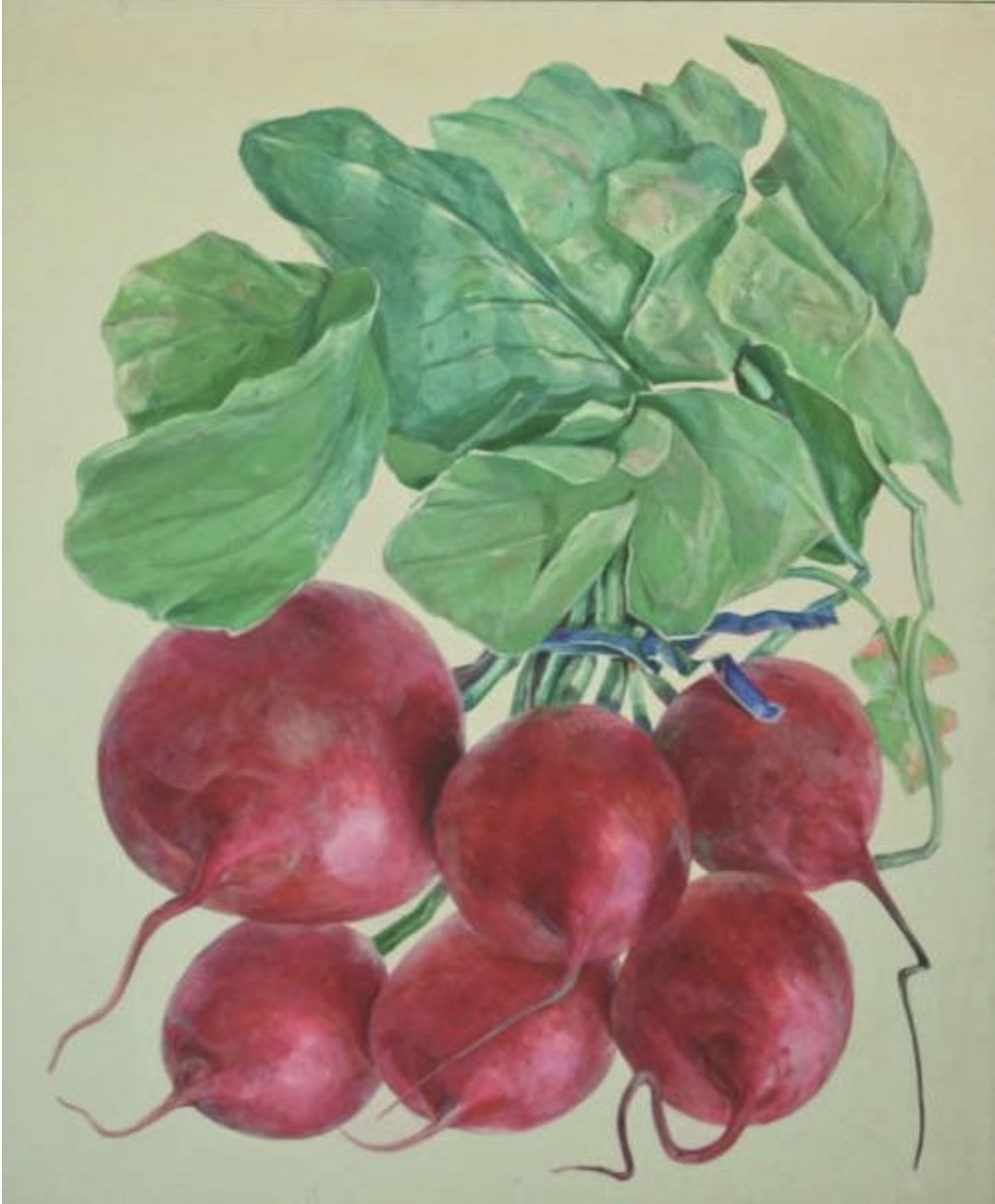 Radishes by Don Nice