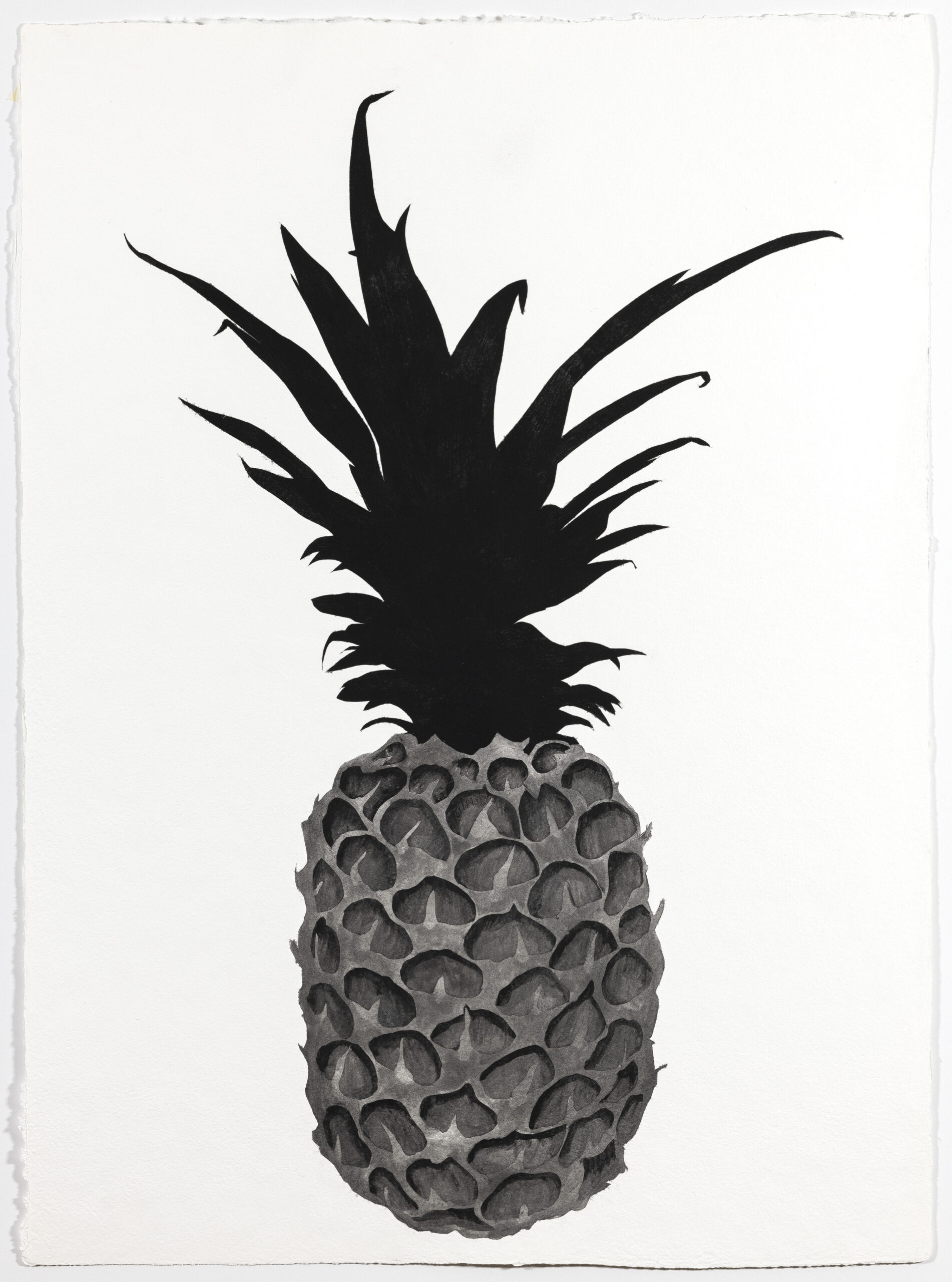 Yummy Pineapple by Claire Lieberman